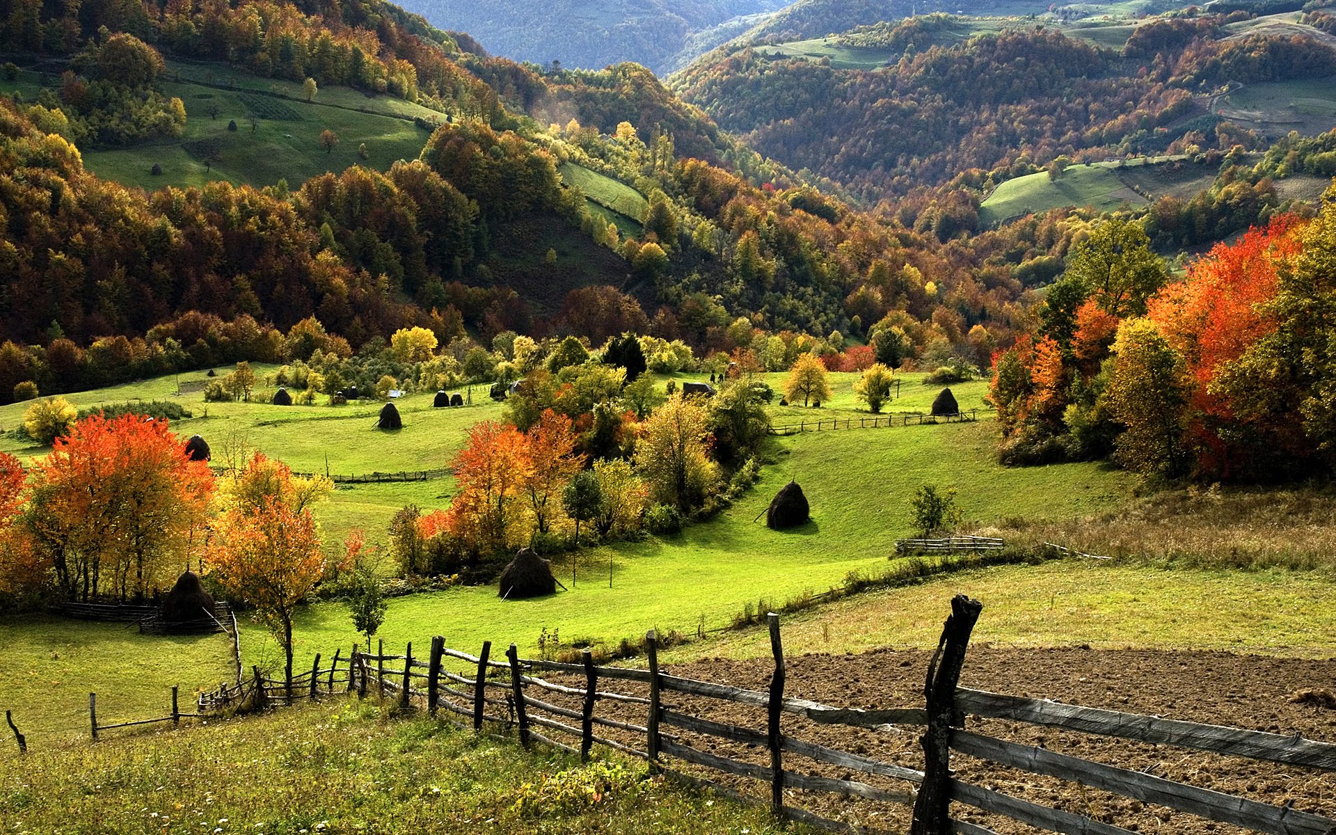 paysage nature verdure montagnes herbe forêt arbres clôture 1920x1200