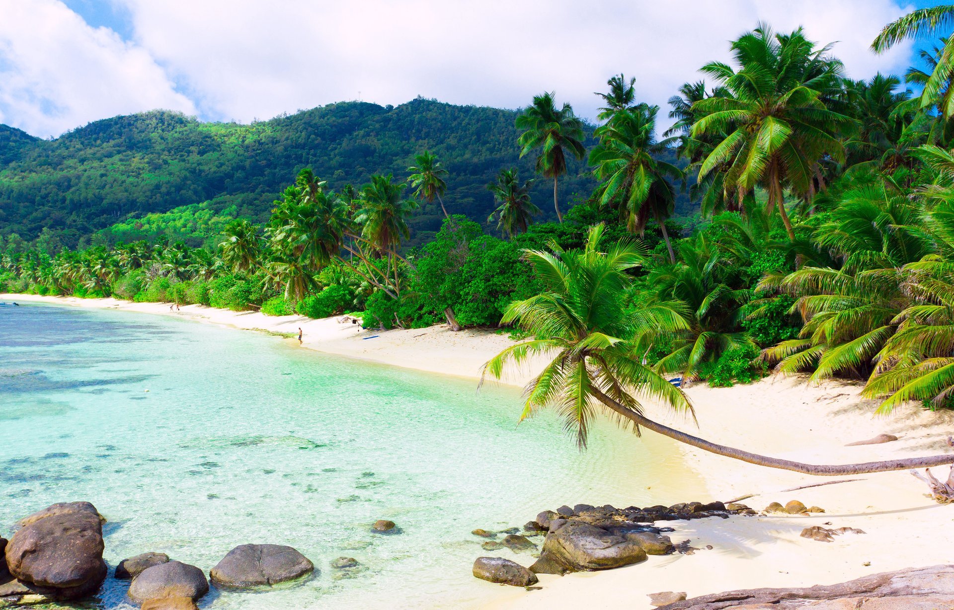 island sandy beach sea landscape beach sand palm trees tropics white cloud