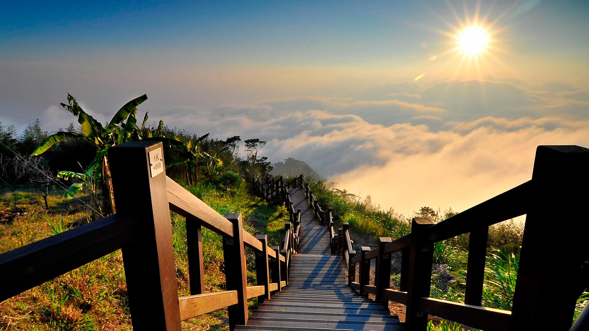 landschaft natur treppe nebel sonne ansicht