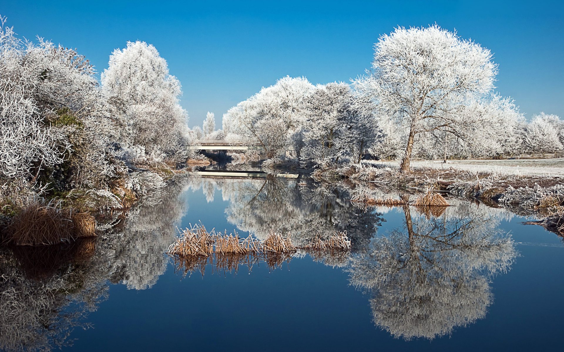 landschaft natur see teich park bäume frost winter reflexion