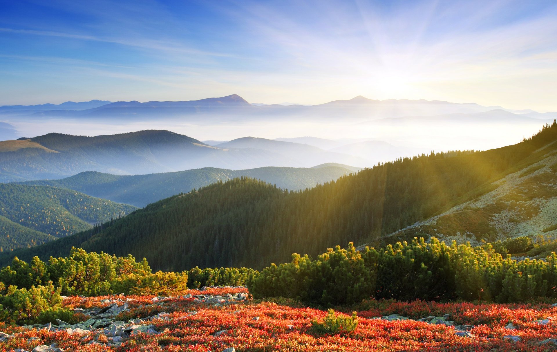 mañana amanecer sol rayos montañas bosque niebla naturaleza