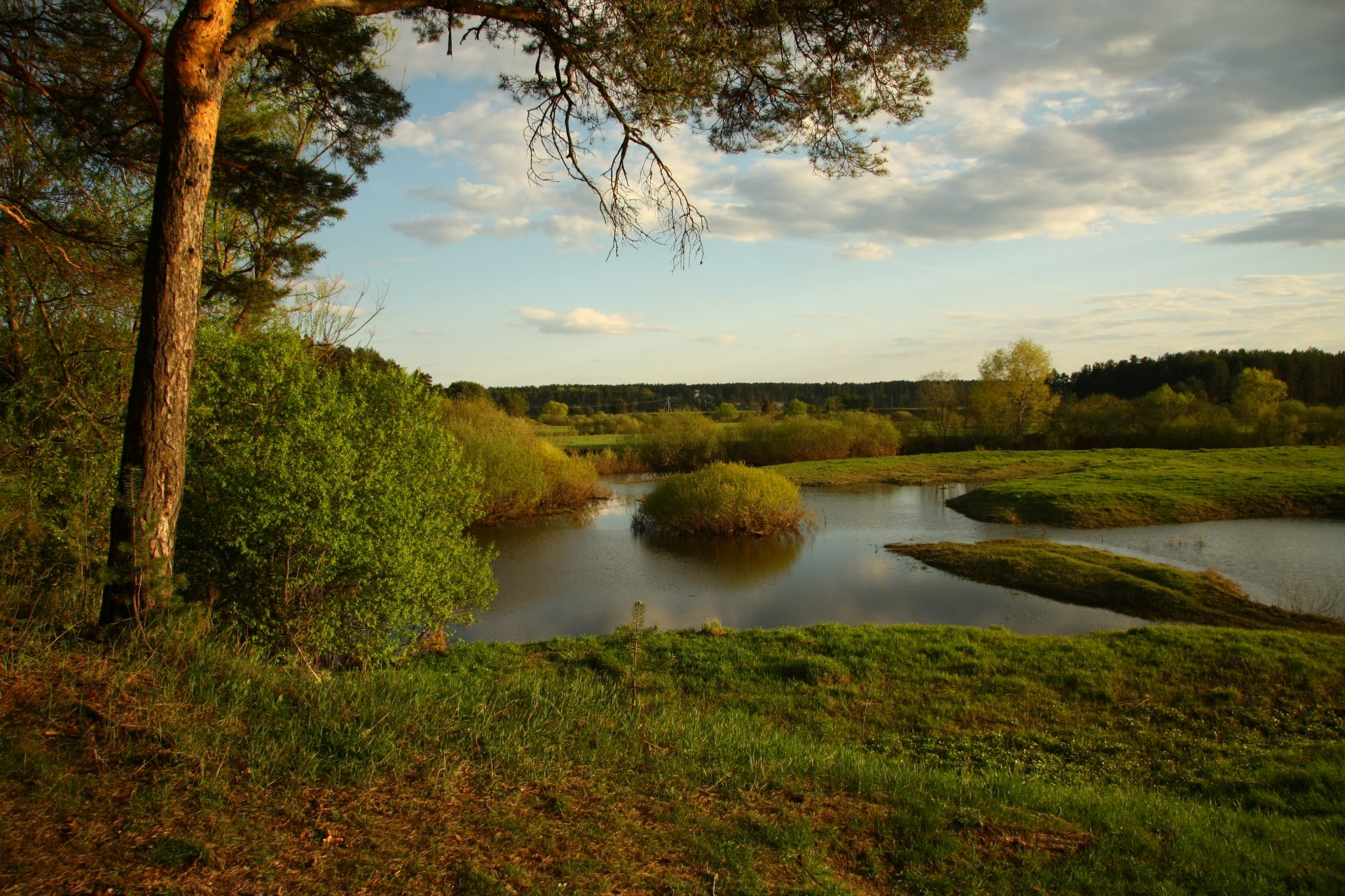 krajobrazy natura rzeka sosna niebo relaks spacer