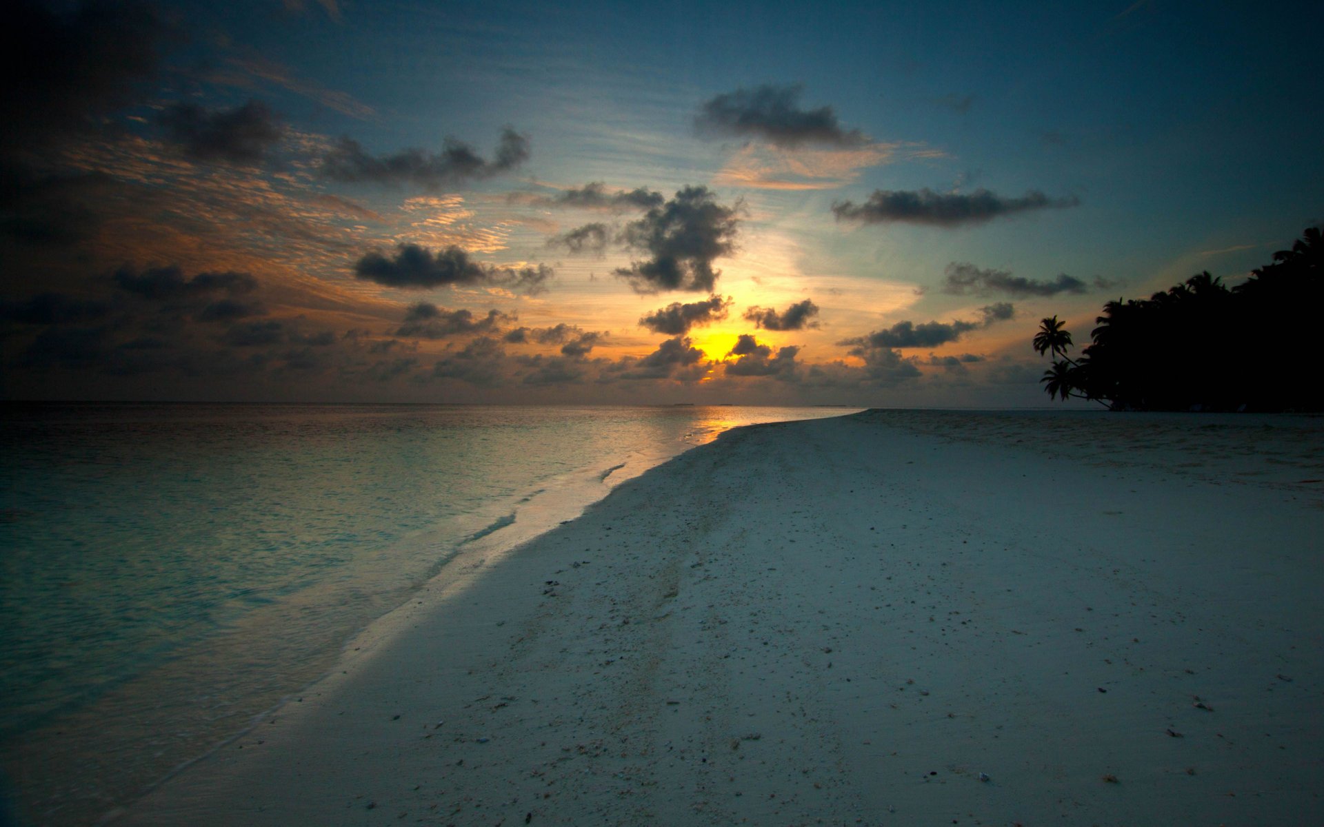 landscapes beaches coast coast water sand sunsets trees palm palm trees tree sun clouds nature for a work table evening photo