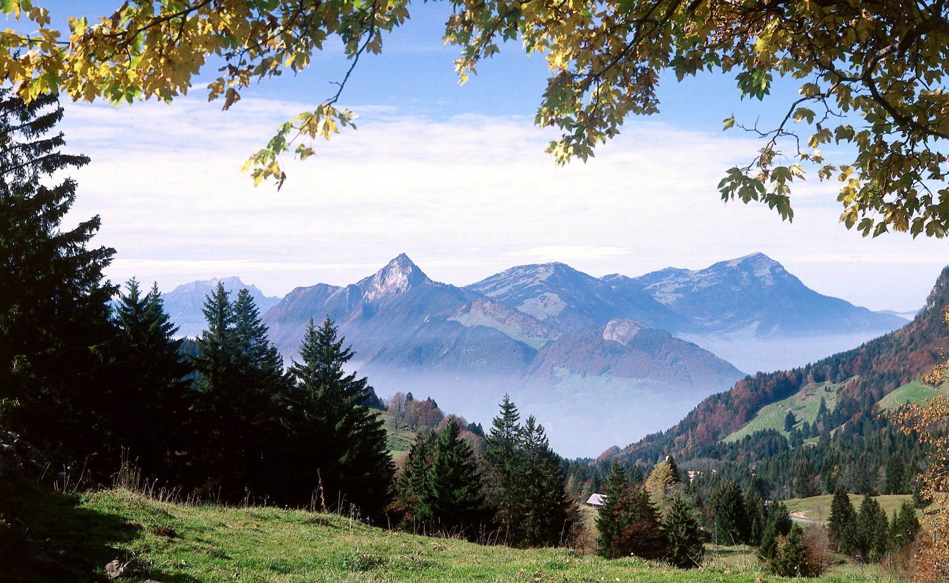 montañas naturaleza bosque