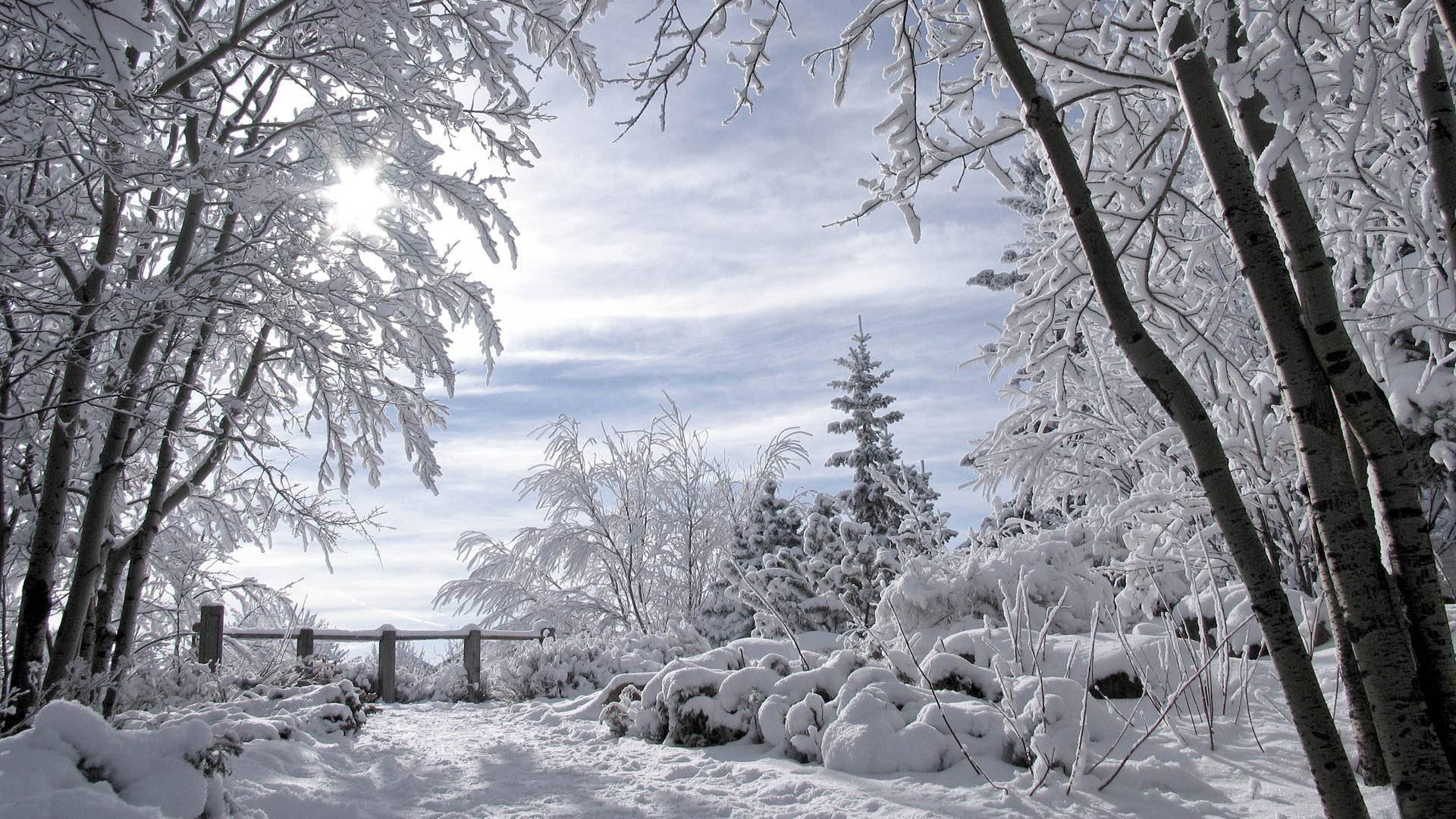 winterlandschaft schneebedeckte bäume winterromantik für litas