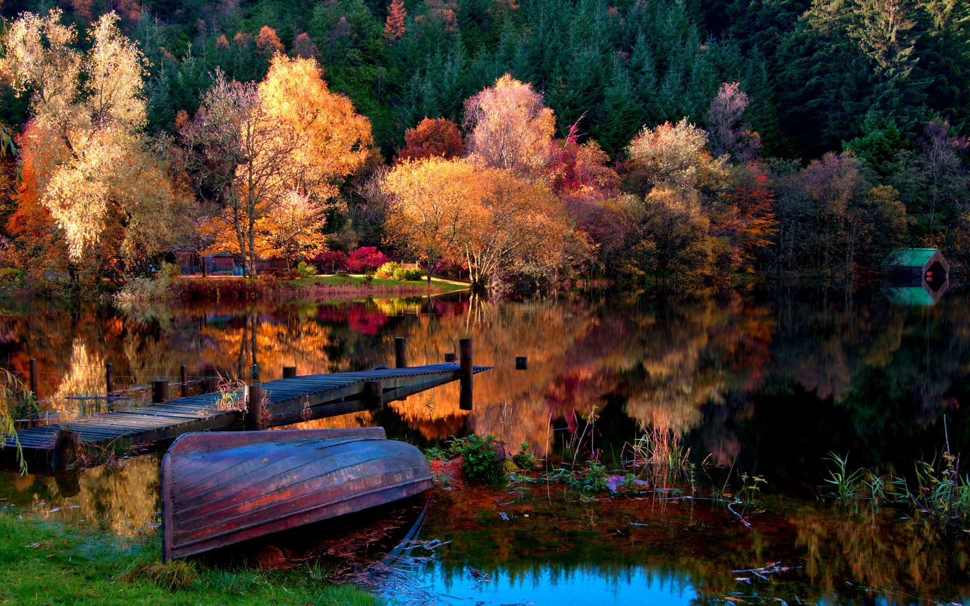 barco naturaleza paisaje lago otoño bosque árboles casas hojas hierba