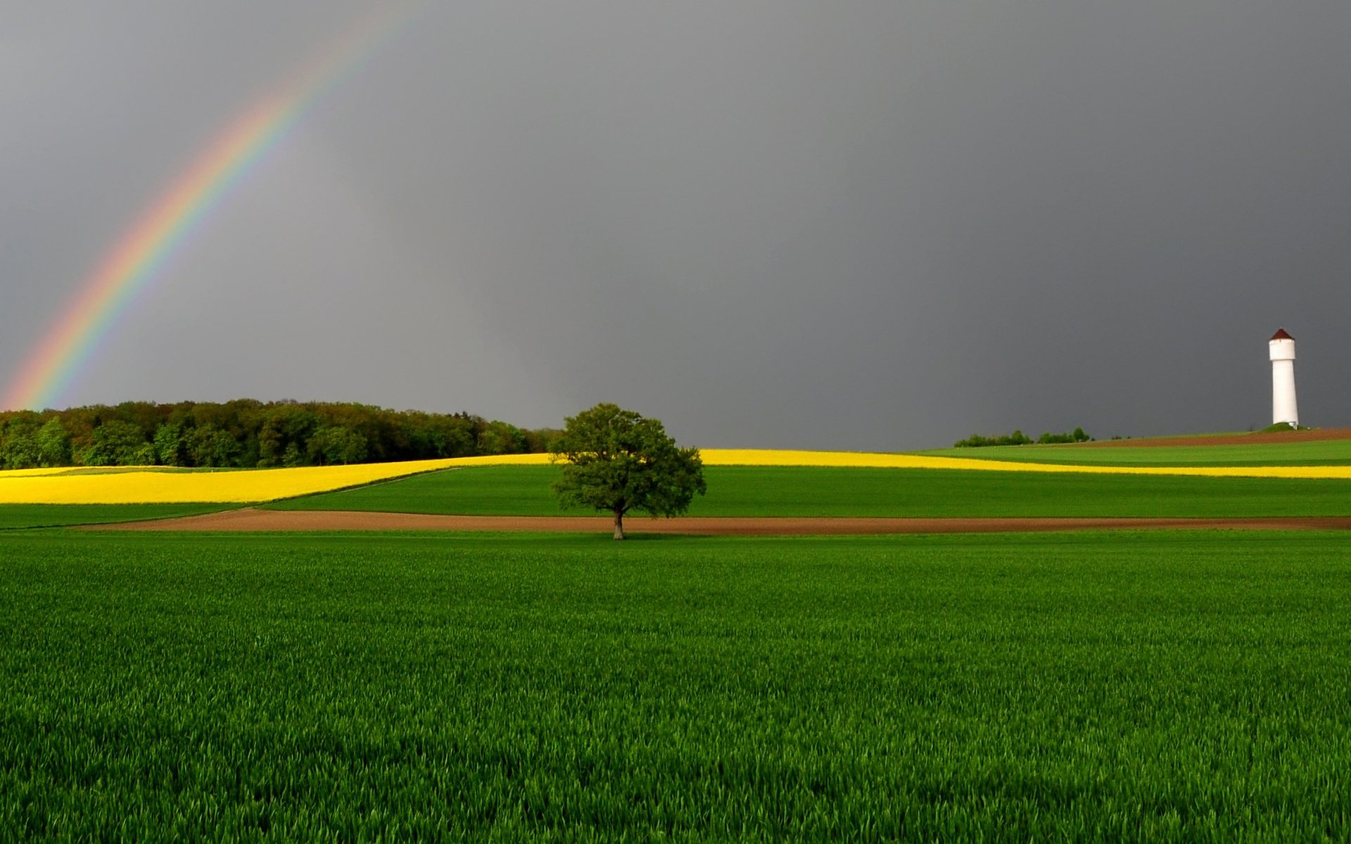 albero arcobaleno campi torre cielo