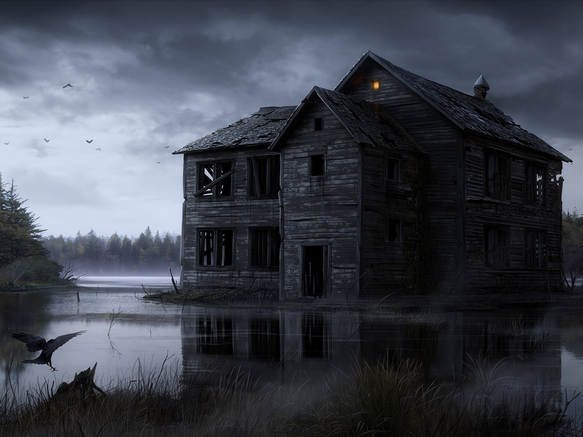 house wood ruins darkness water bog raven birds light