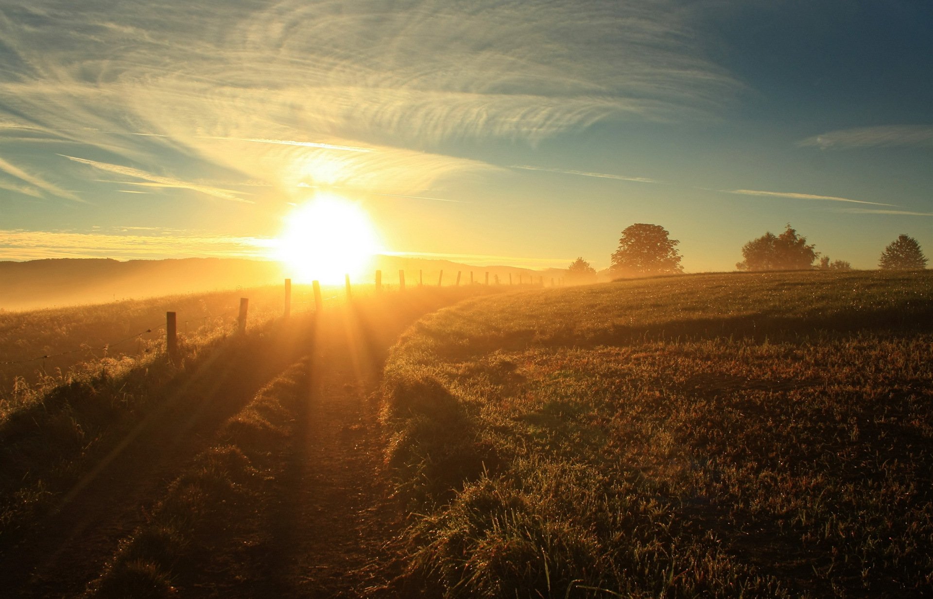 morgen straße sommer sonne himmel landschaft