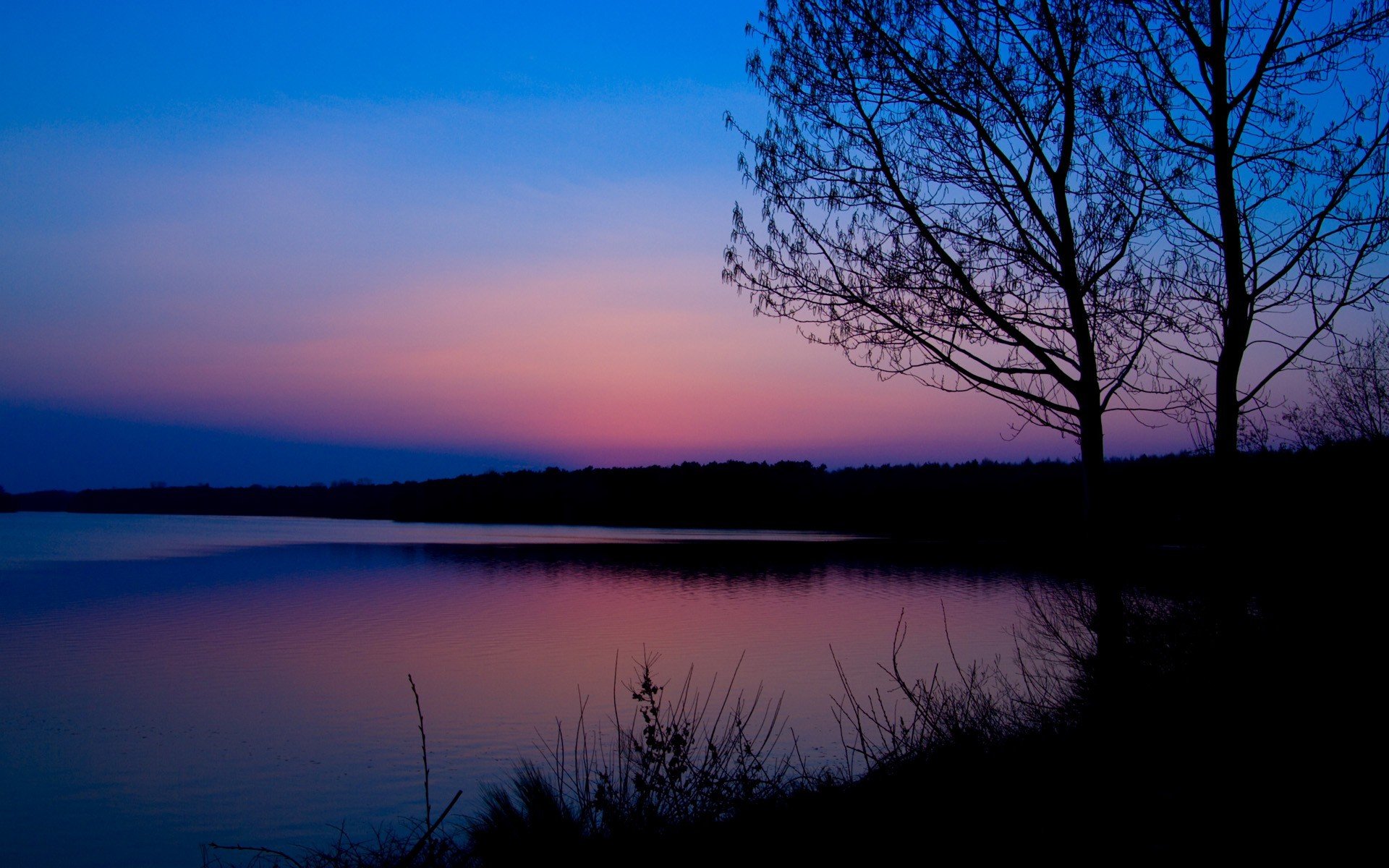 dawn pink blue forest river