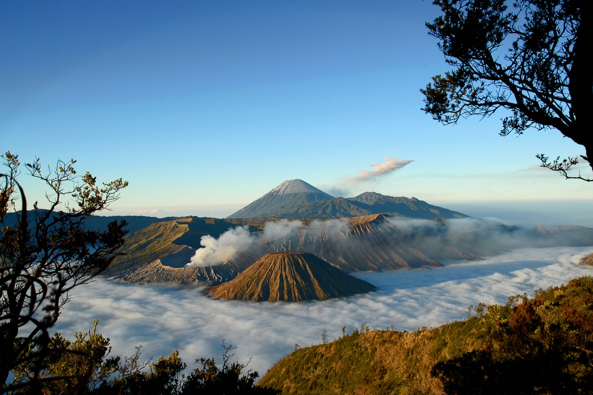 montagnes volcan brouillard arbres vue