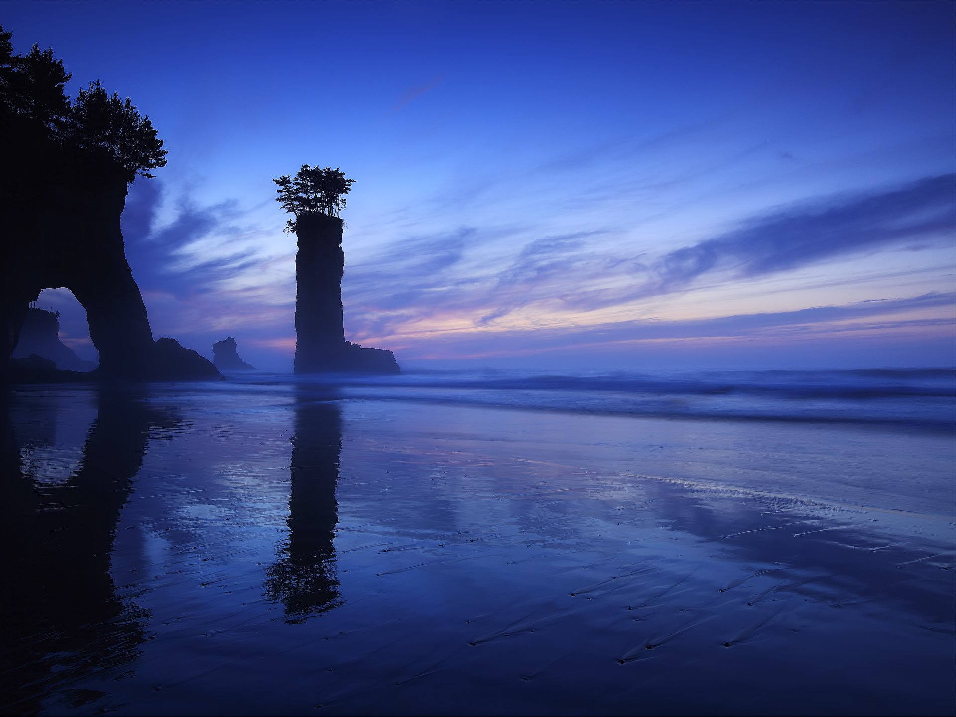 beach japan rock tree