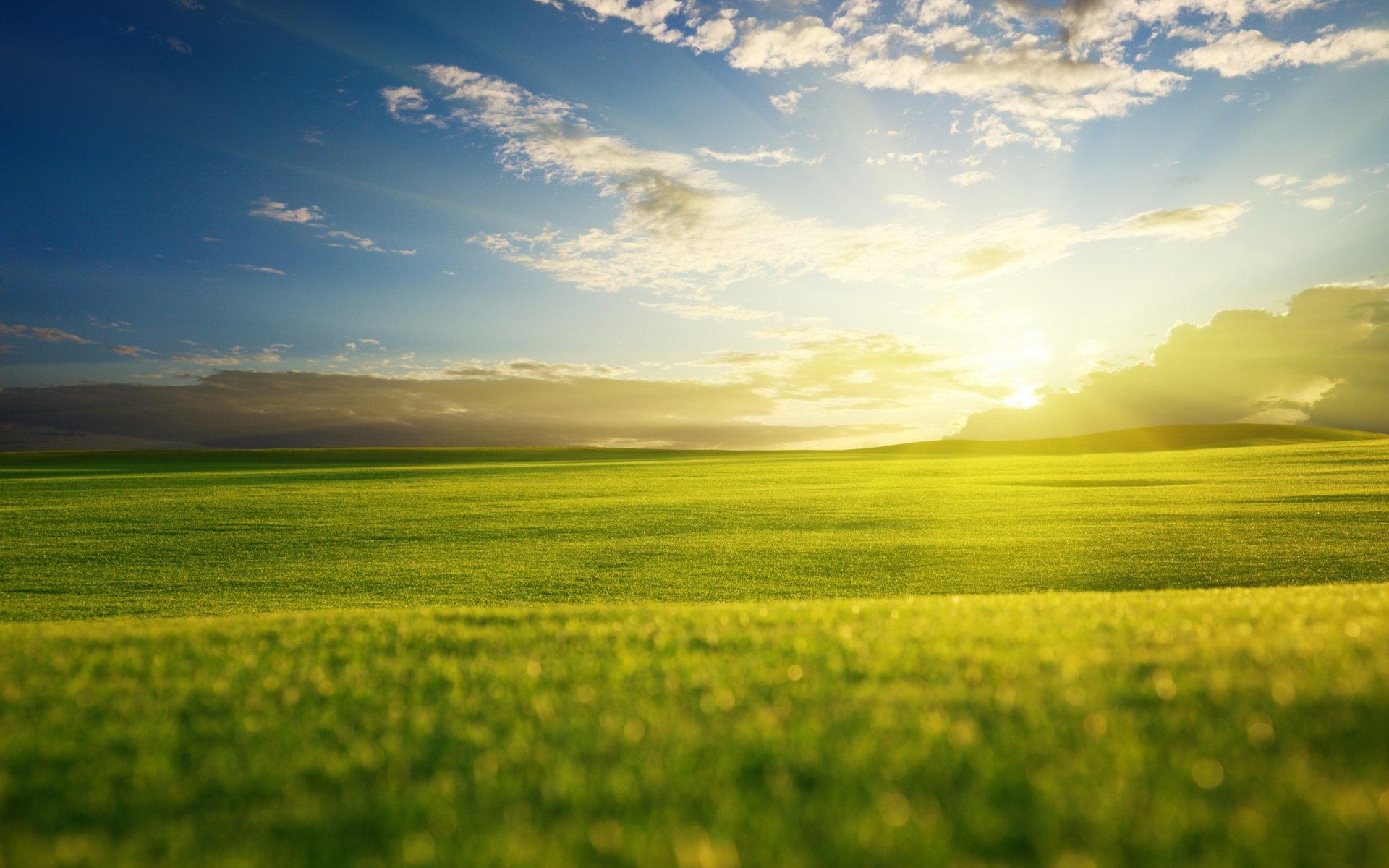 landschaften natur ansicht feld felder gras gras gras gras gras grünes gras tapete horizont hügel tal täler himmel wolke wolken sonne strahlen licht abend sonnenuntergang widescreen wallpaper grün grün grün landschaftstapete