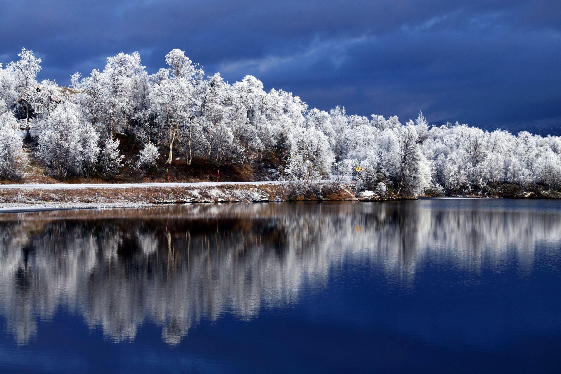 arbres rivière réflexion hiver ini ciel