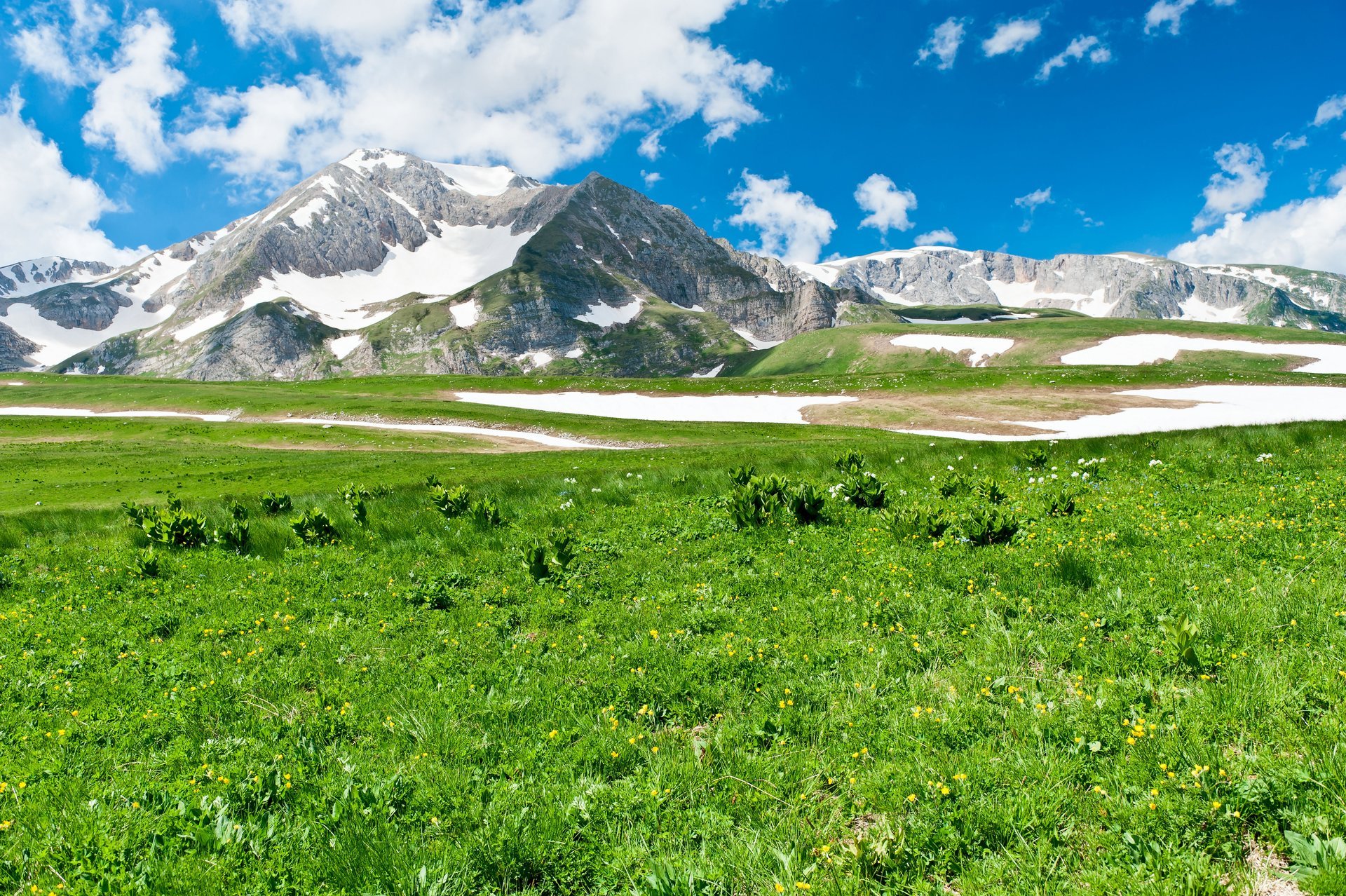 higlands schöne aussicht natur grün gras landschaft berge schönheit