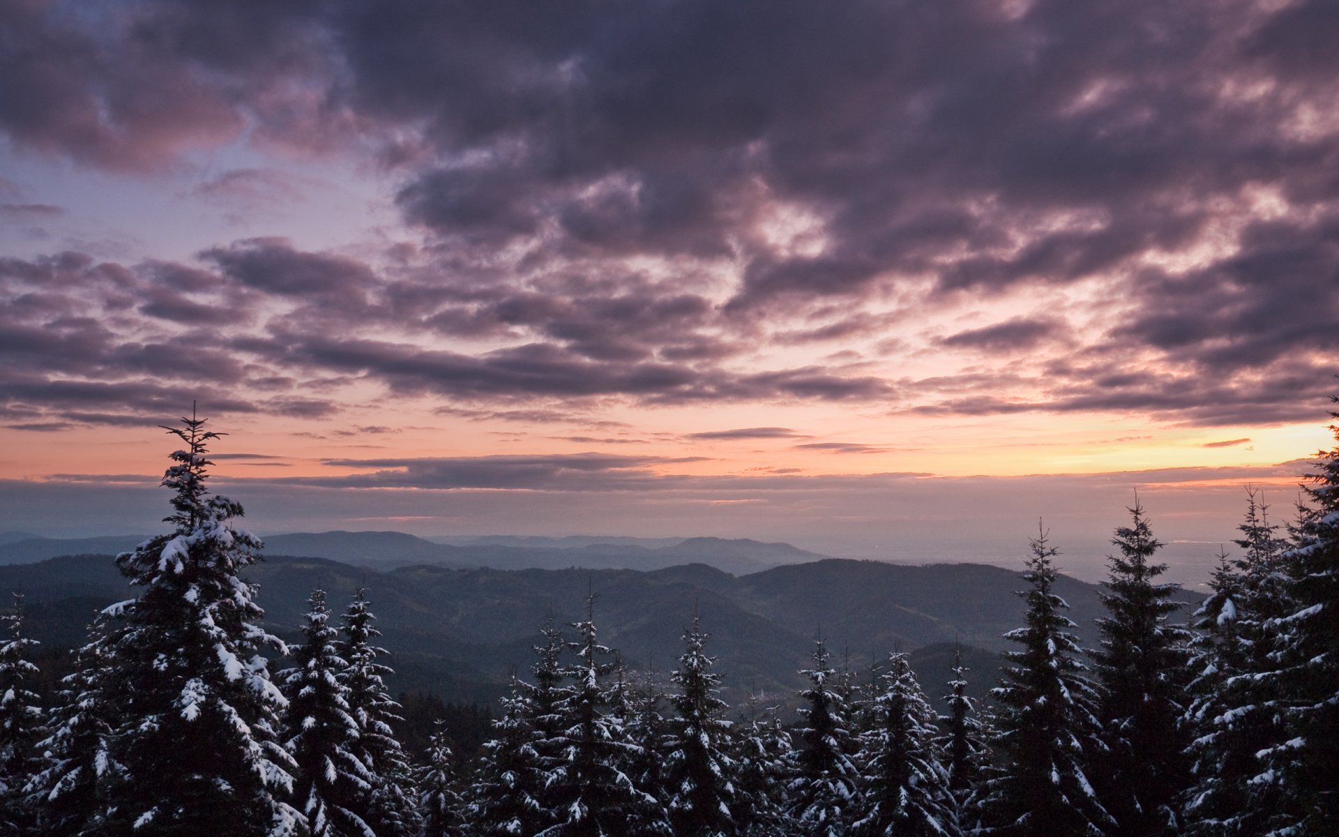 paesaggio invernale natura inverno carta da parati invernale albero alberi abete rosso abete rosso albero di natale neve nevicata montagna montagna picco cime vento cielo altitudine natura invernale