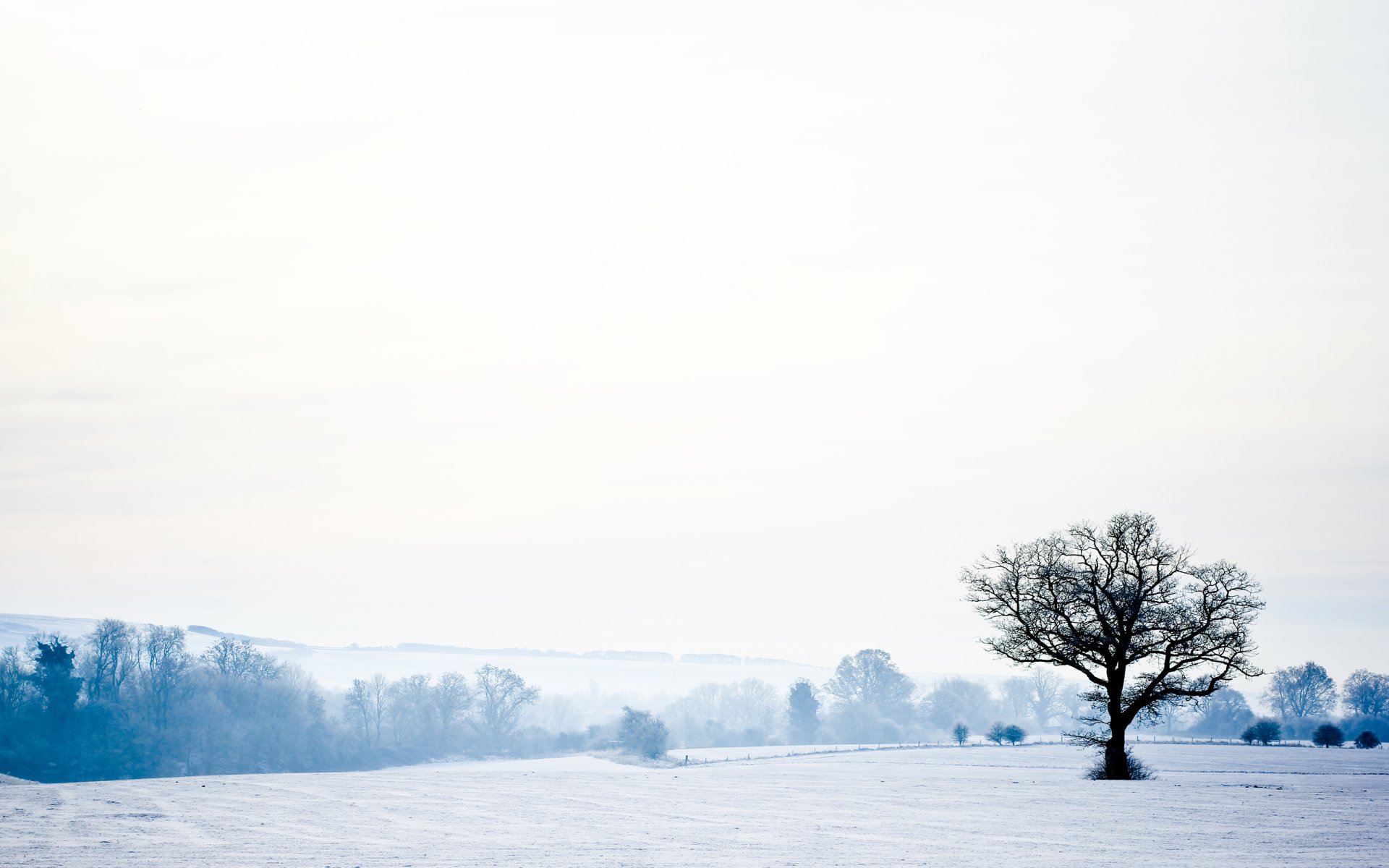 paysage nature hiver neige forêt arbres ciel hiver 2560x1600