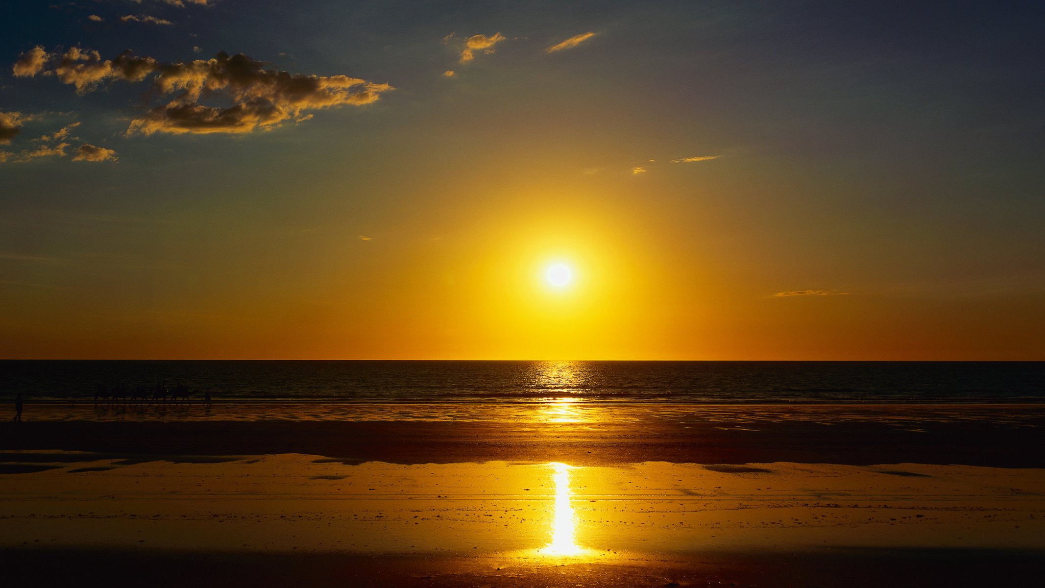 mer océan plage sable été coucher de soleil soleil chameaux caravane nature paysage