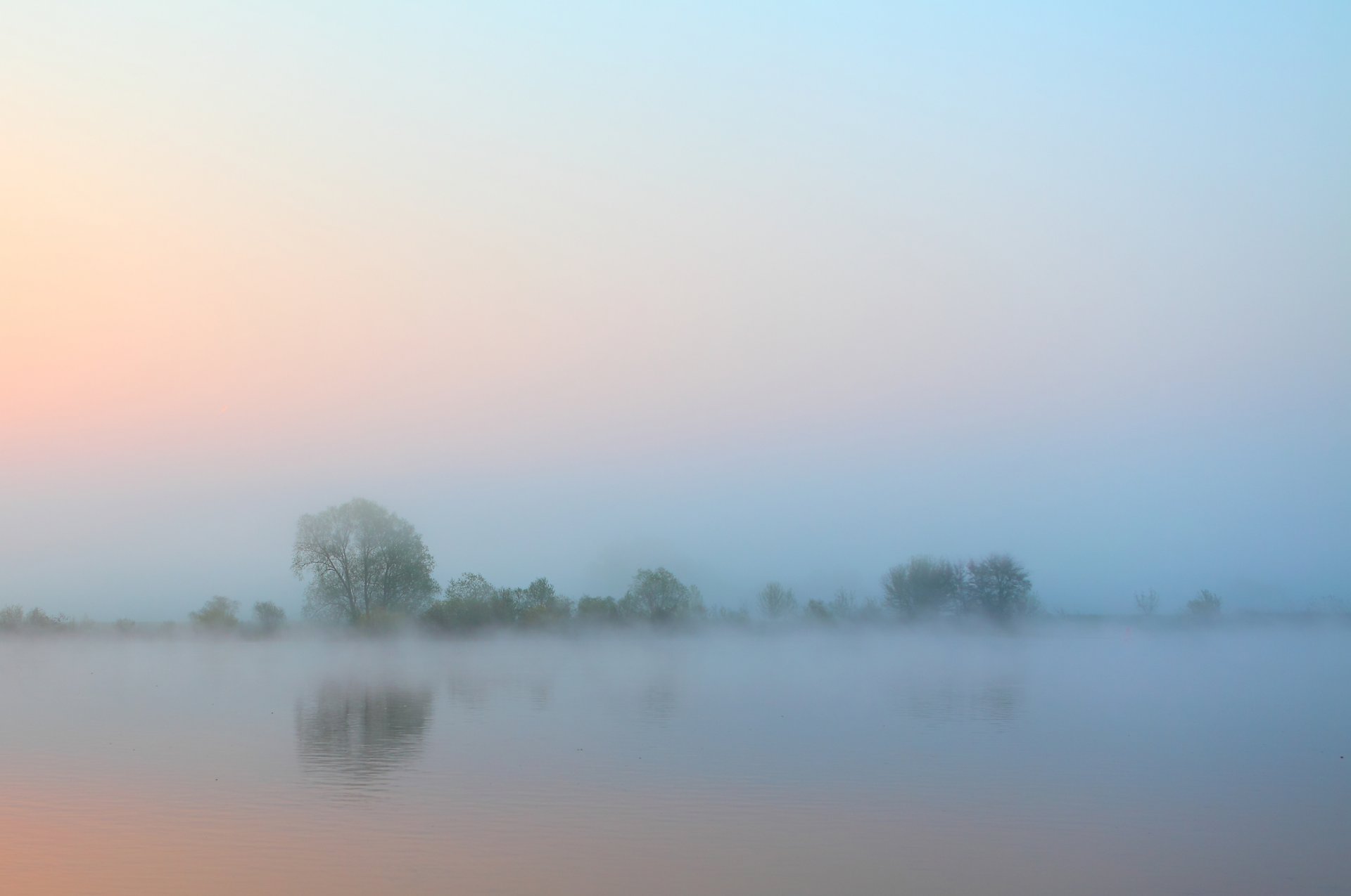 morning river fog tree sky water