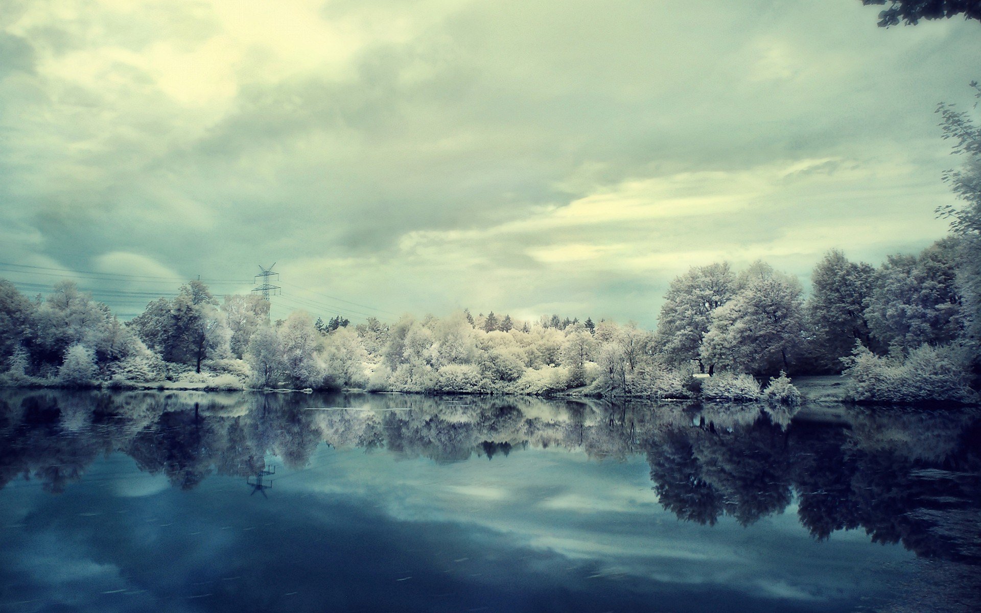 winter snow frost lake tree clouds rain