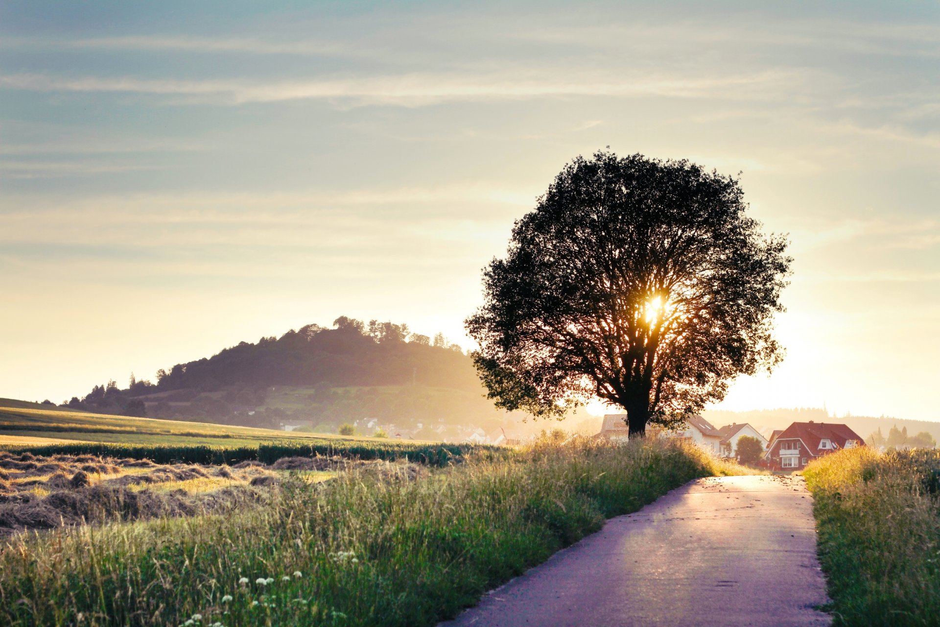 estate natura paesaggio strada albero casa sole luce raggi sfondo carta da parati