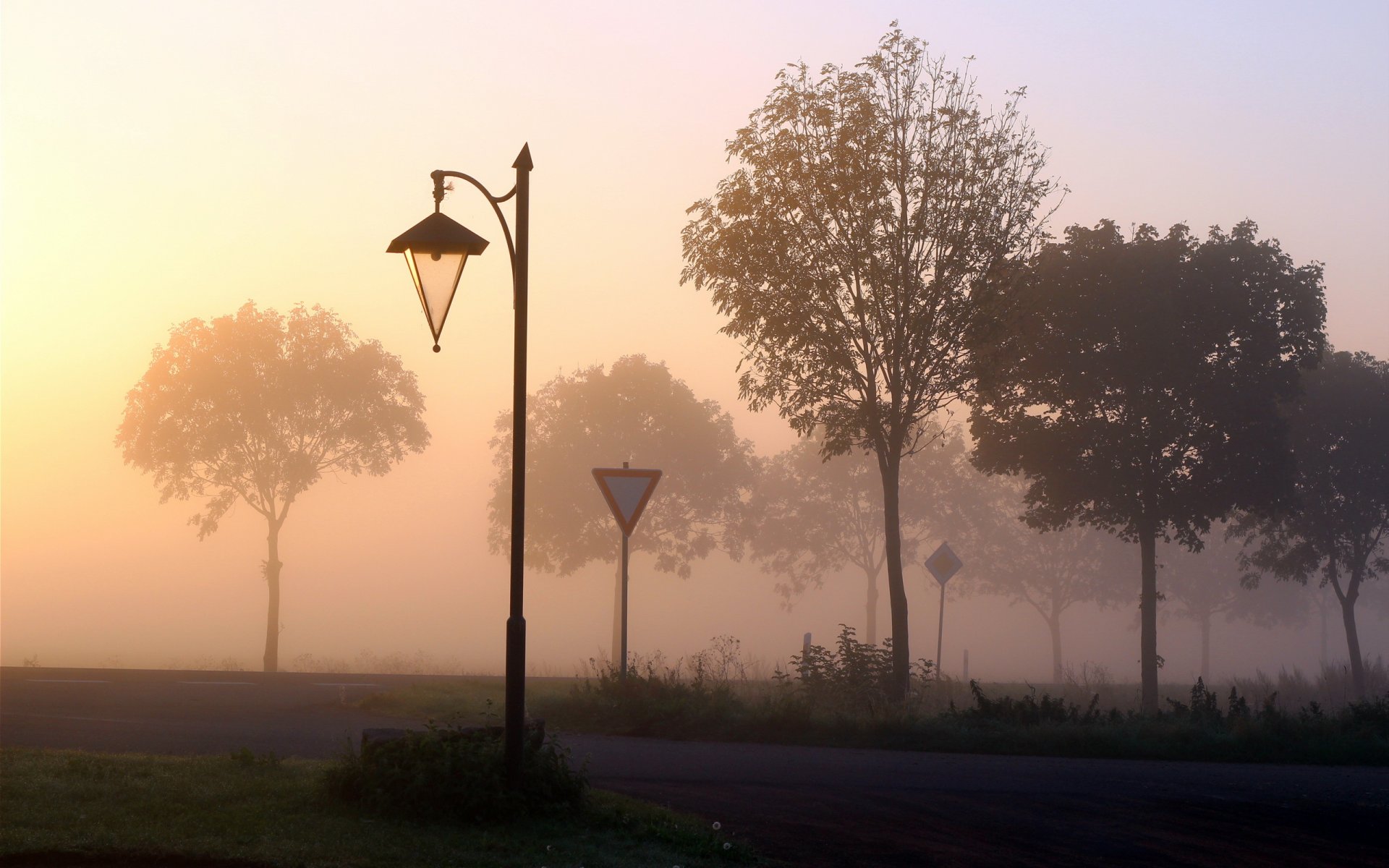 camino señales niebla