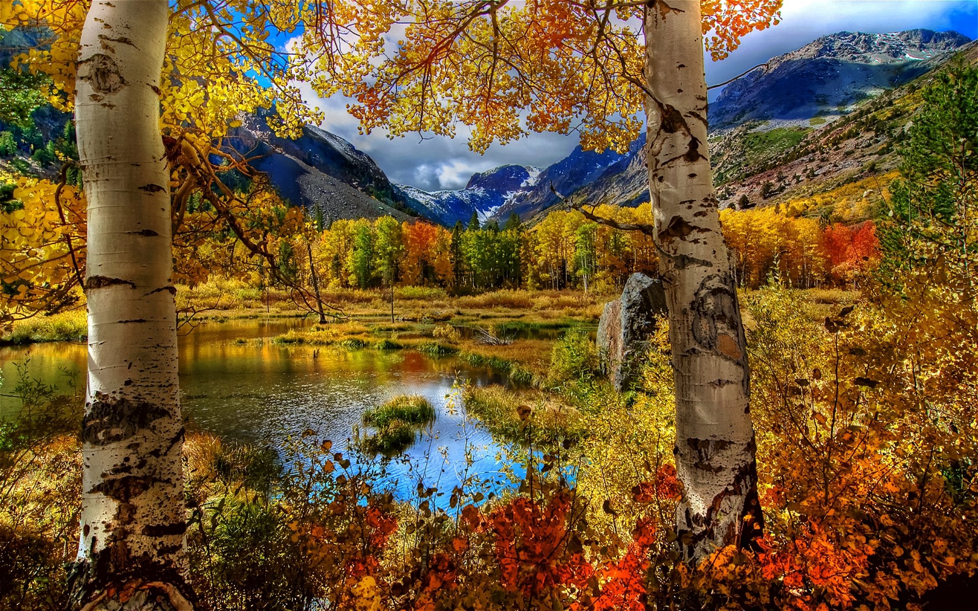 natur landschaft herbst bäume blätter berge see himmel wolken gras