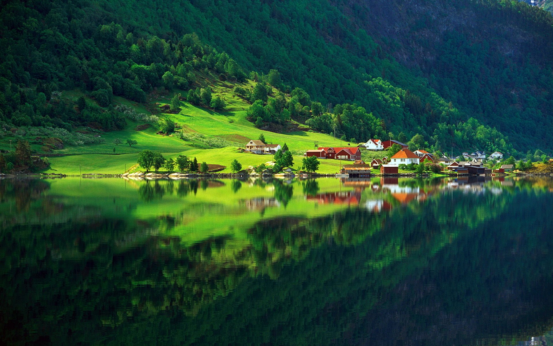 naturaleza bosque vegetación verano pueblo casas lago reflexión