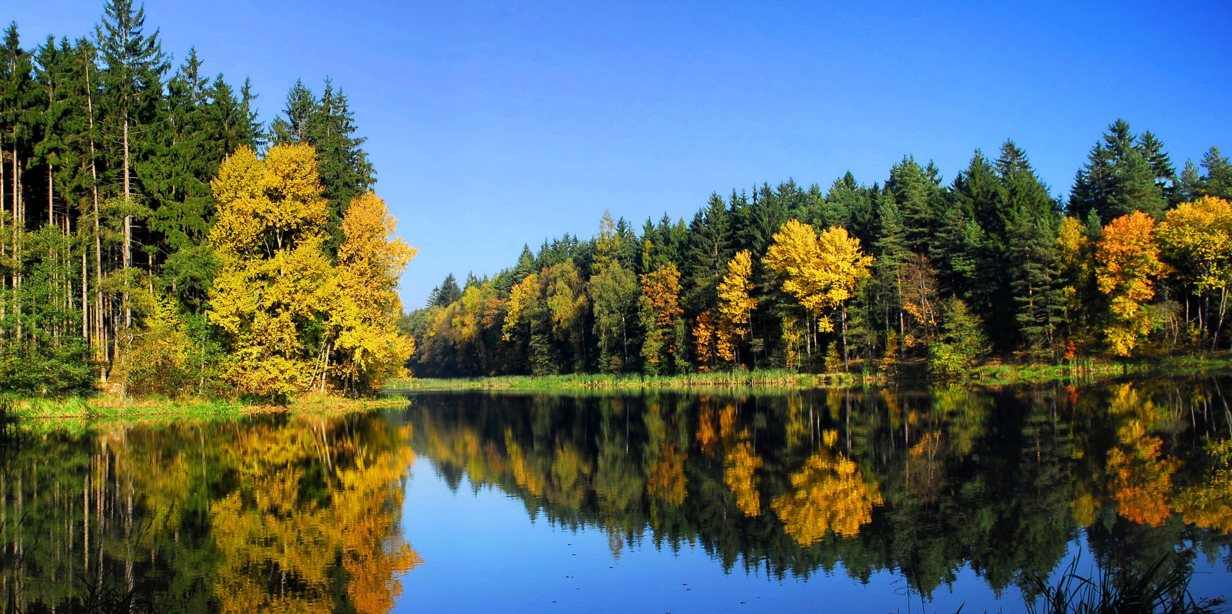 landscape nature autumn river forest tree