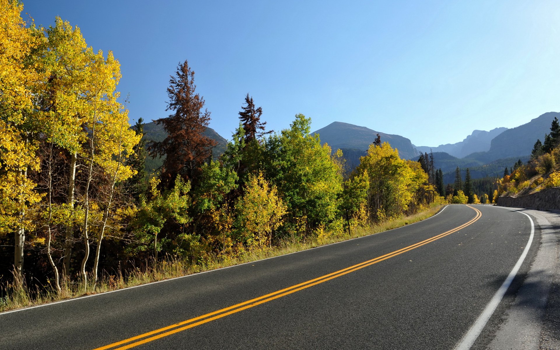 road autumn tree