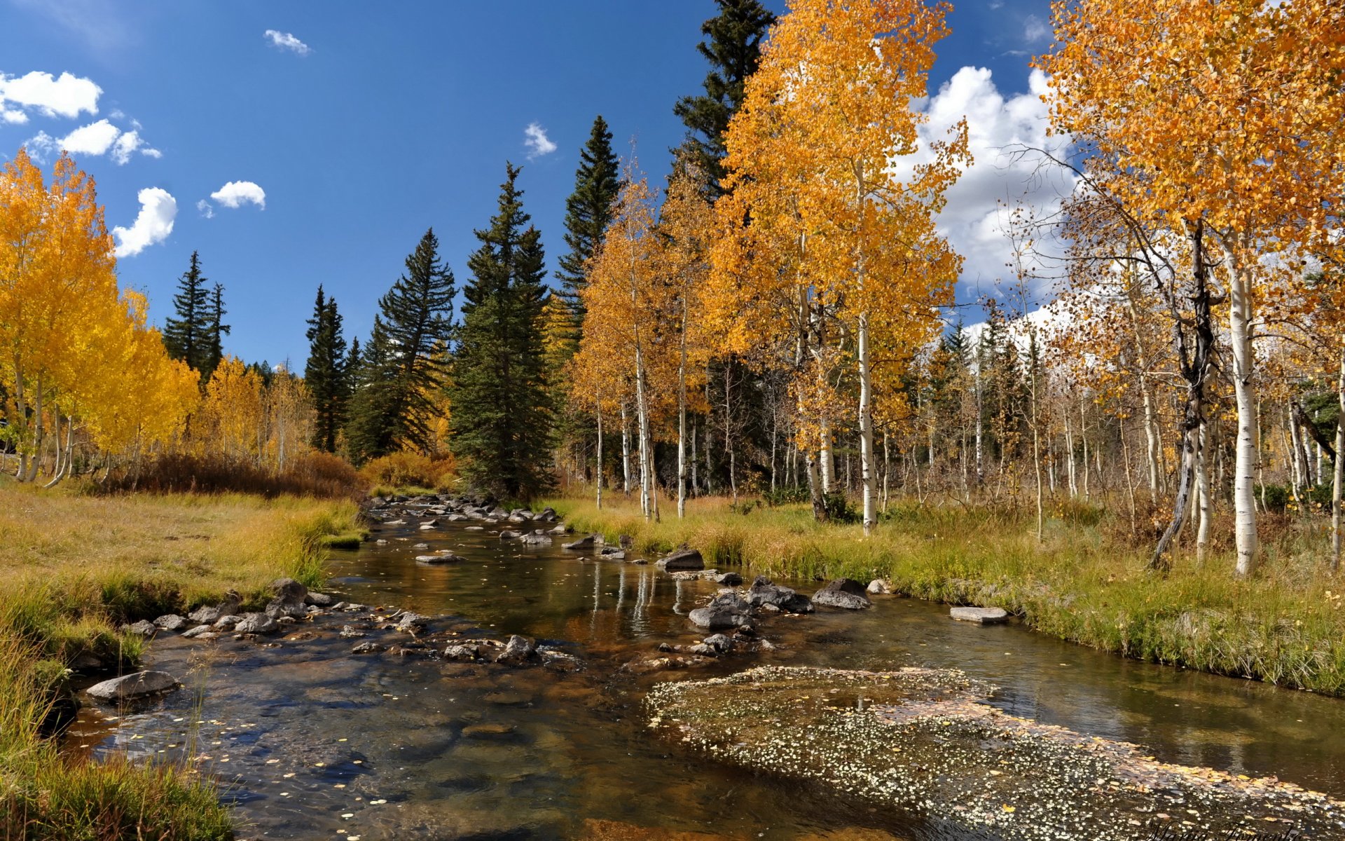 herbst fluss bäume landschaft