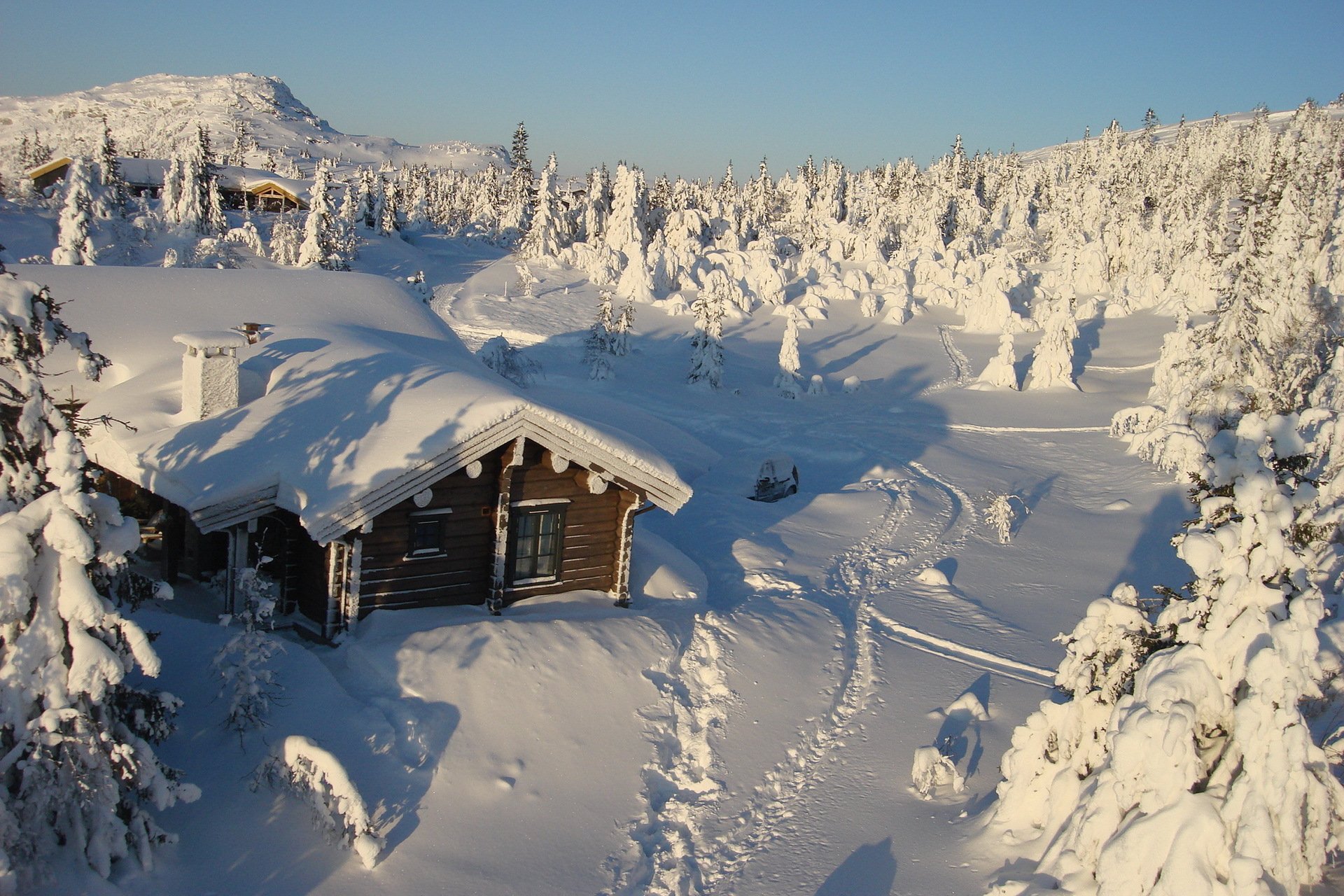 winter snow house tree nature