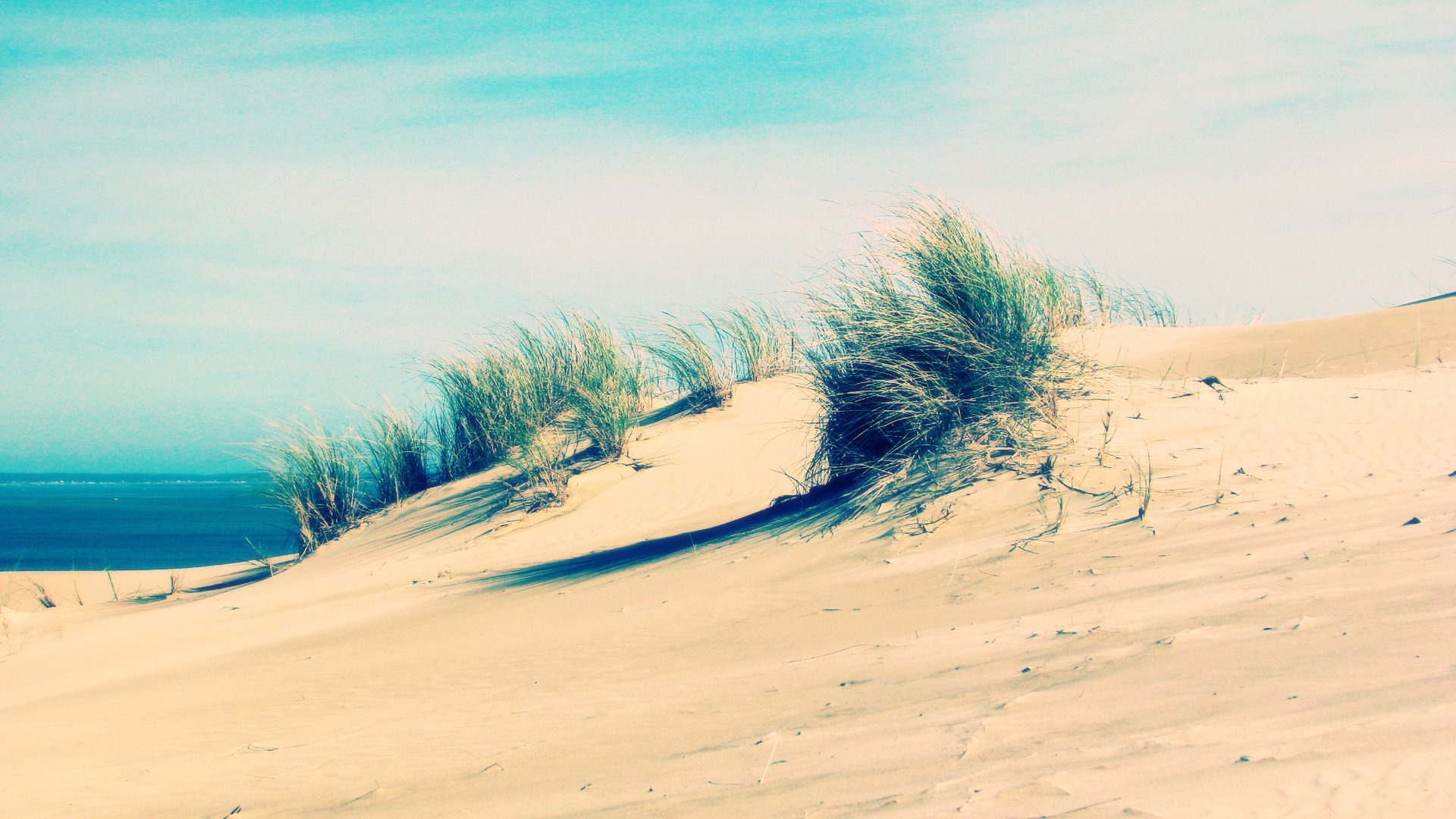 playa arena mar hierba