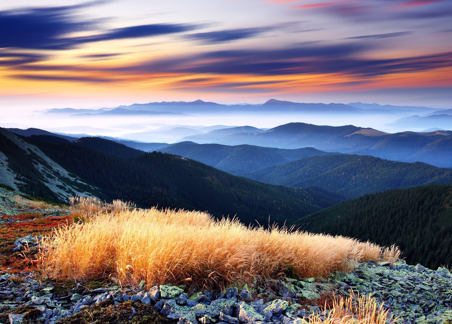 higlands disminución verde montañas hermoso vista panorama valle bosque árboles cielo nubes niebla horizonte