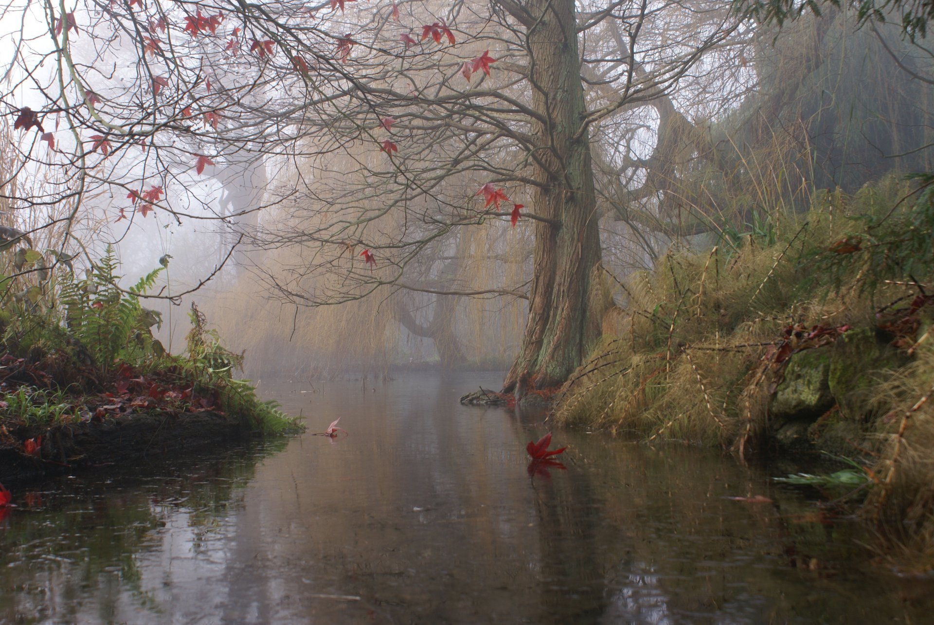 england baum herbst fluss nebel