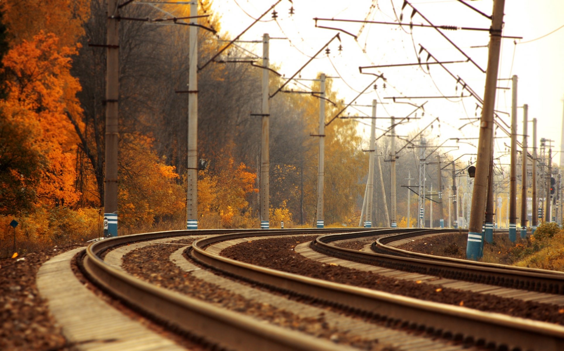 camino rieles trenes paisaje otoño tren oro foto árboles caminos