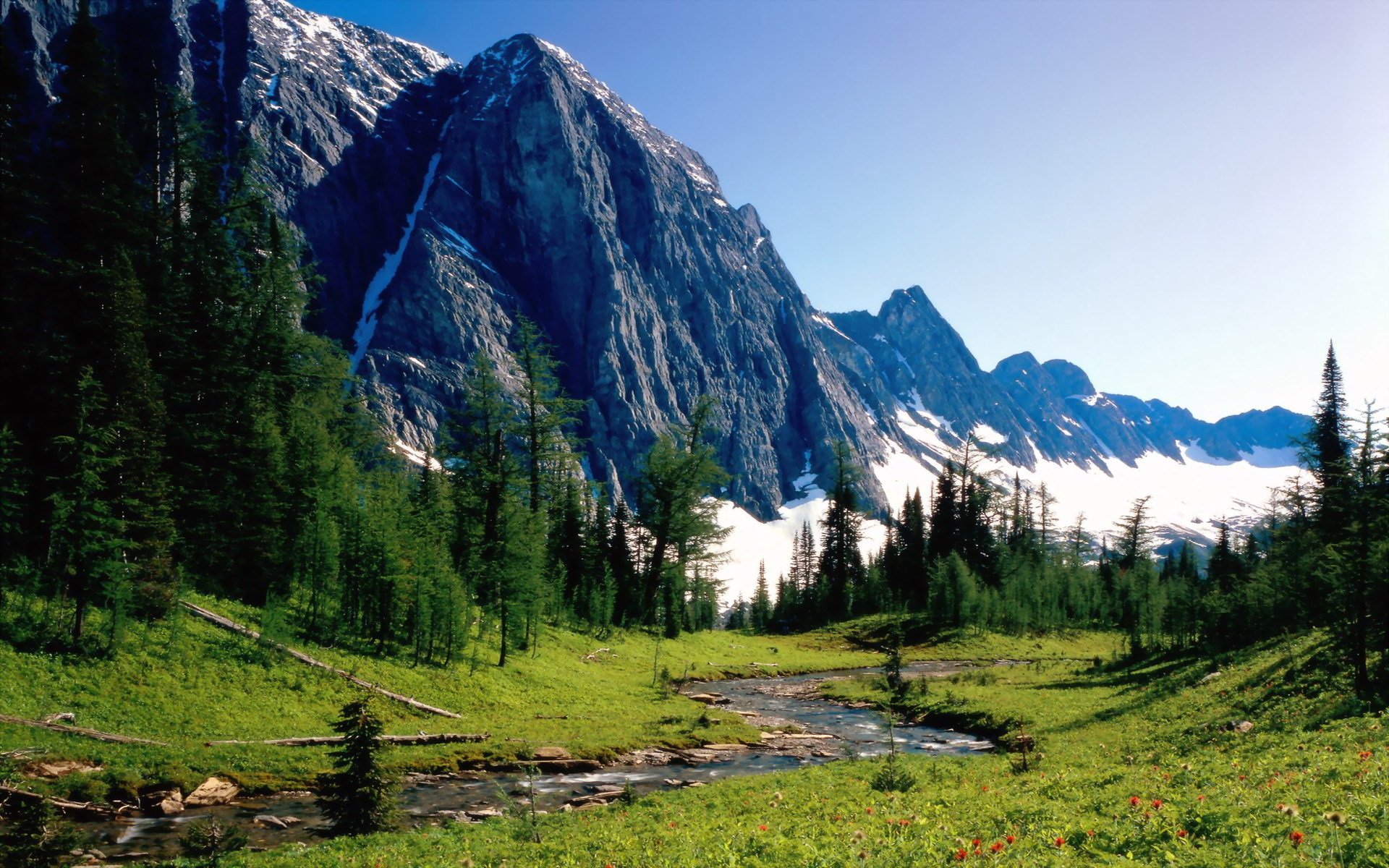 natur berge sommer