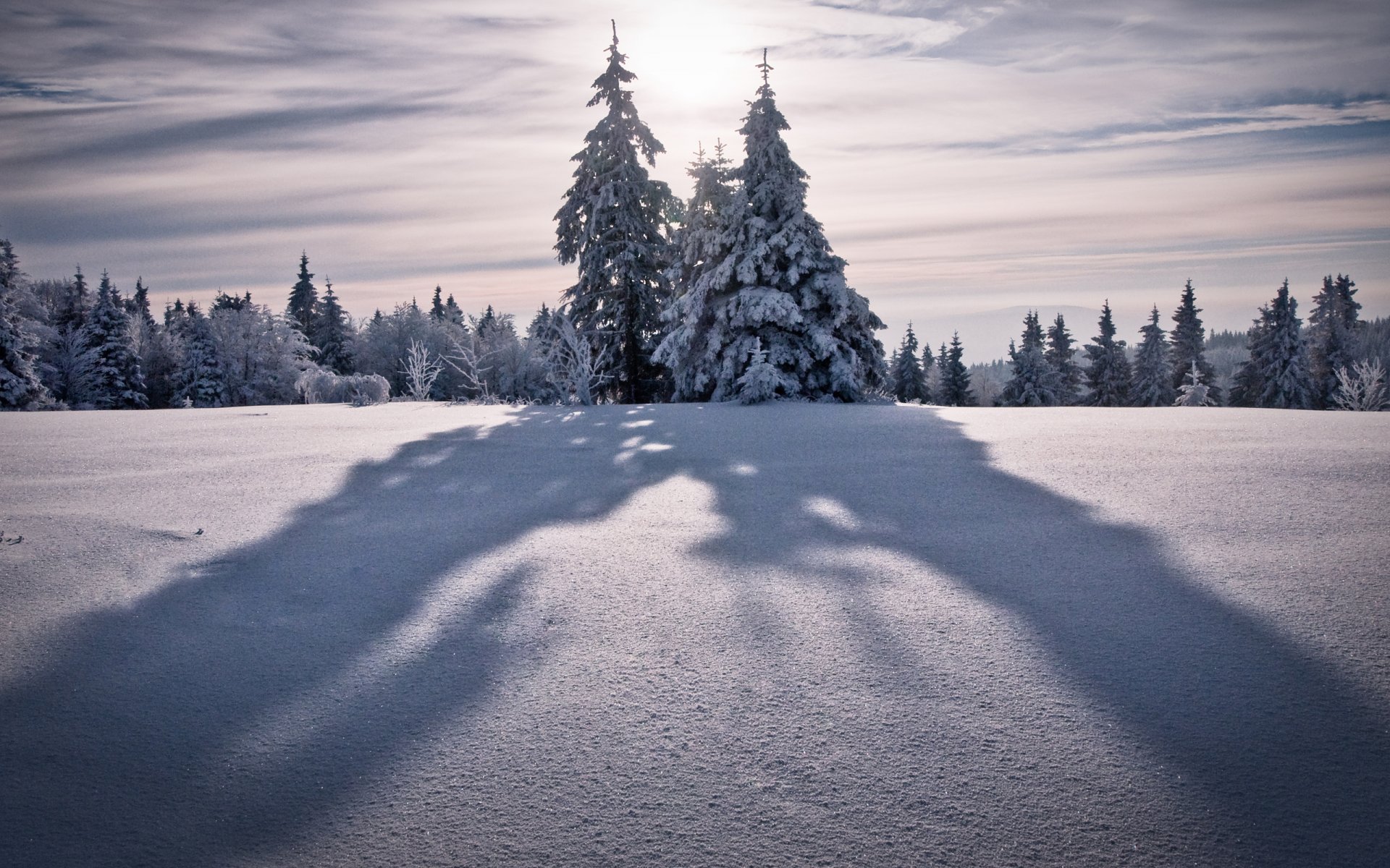 paysage d hiver nature hiver papier peint d hiver arbre arbres sapin sapin sapin de noël neige chutes de neige montagne montagne pic sommets vent ciel hauteur nature d hiver soleil ombre ombres