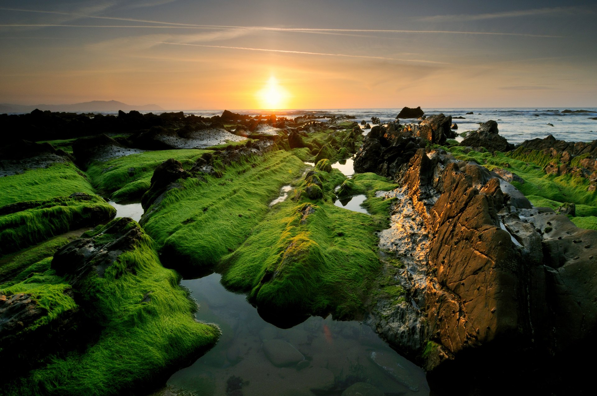 mare rocce rocce verde sole