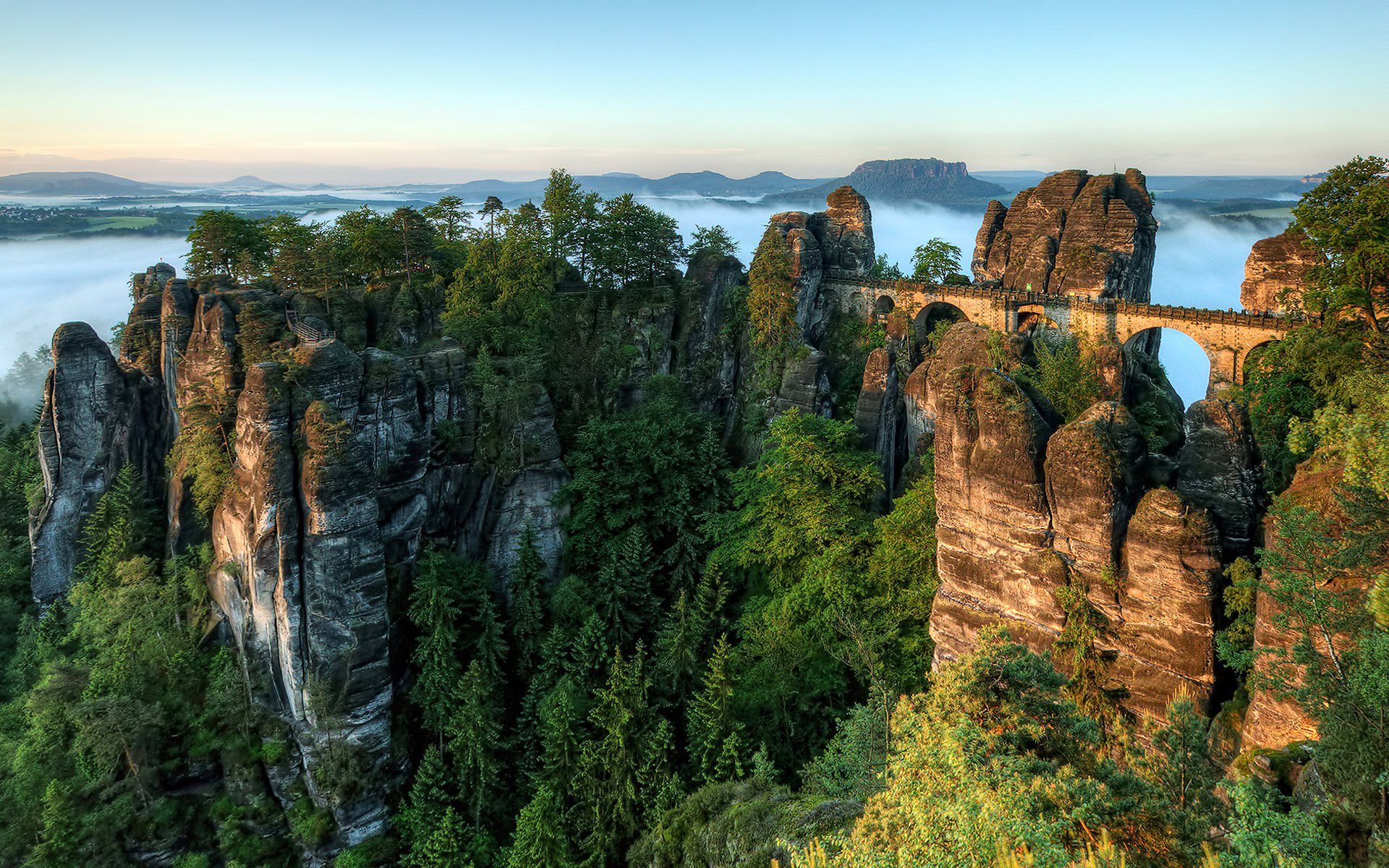 mountain bridge pine spruce tree fog dawn horizon germany