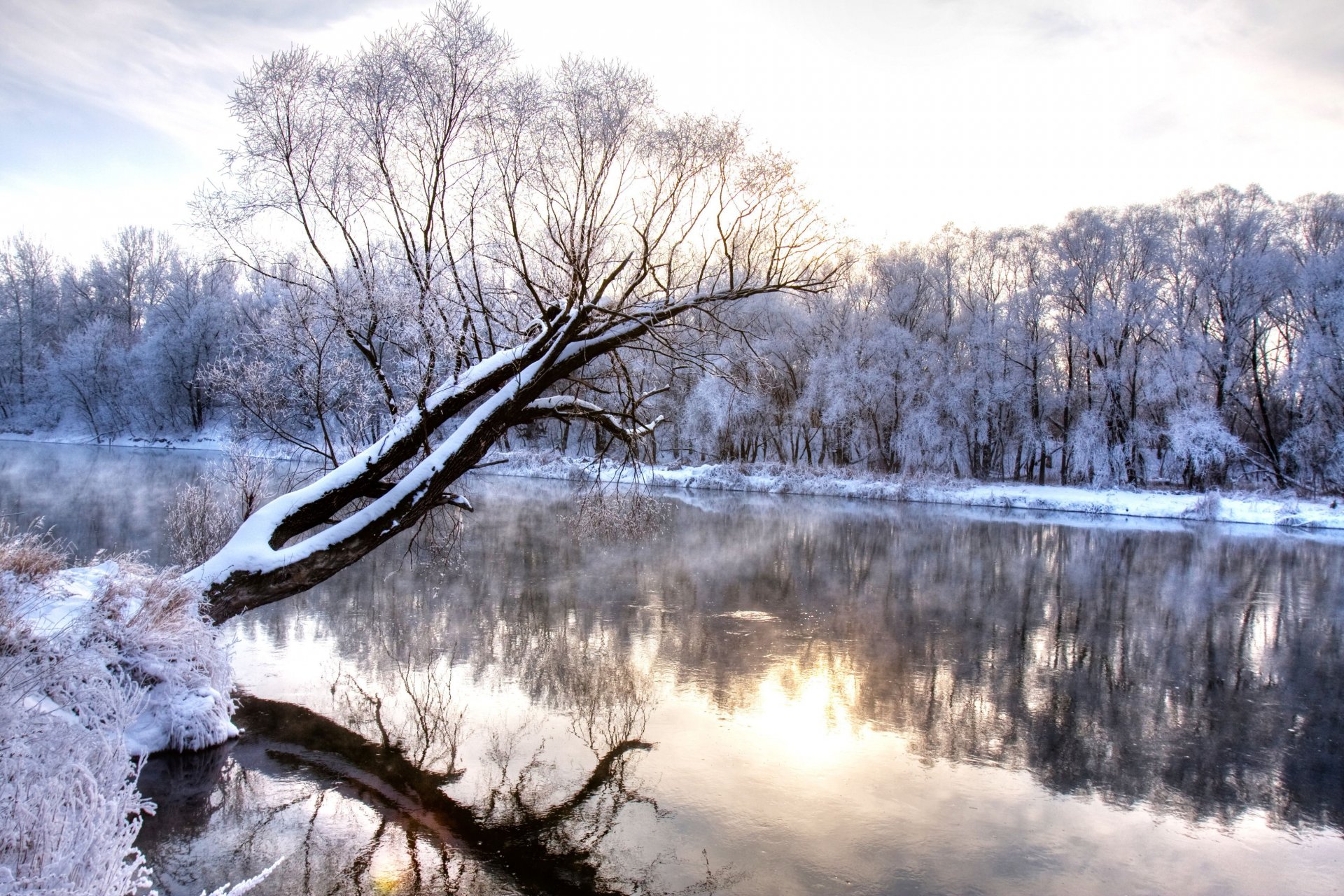 invierno río rama bosque congelado paisaje de la naturaleza estación fría maravillas invierno frío escarcha cubierto de nieve árboles río naturaleza paisaje reflexión