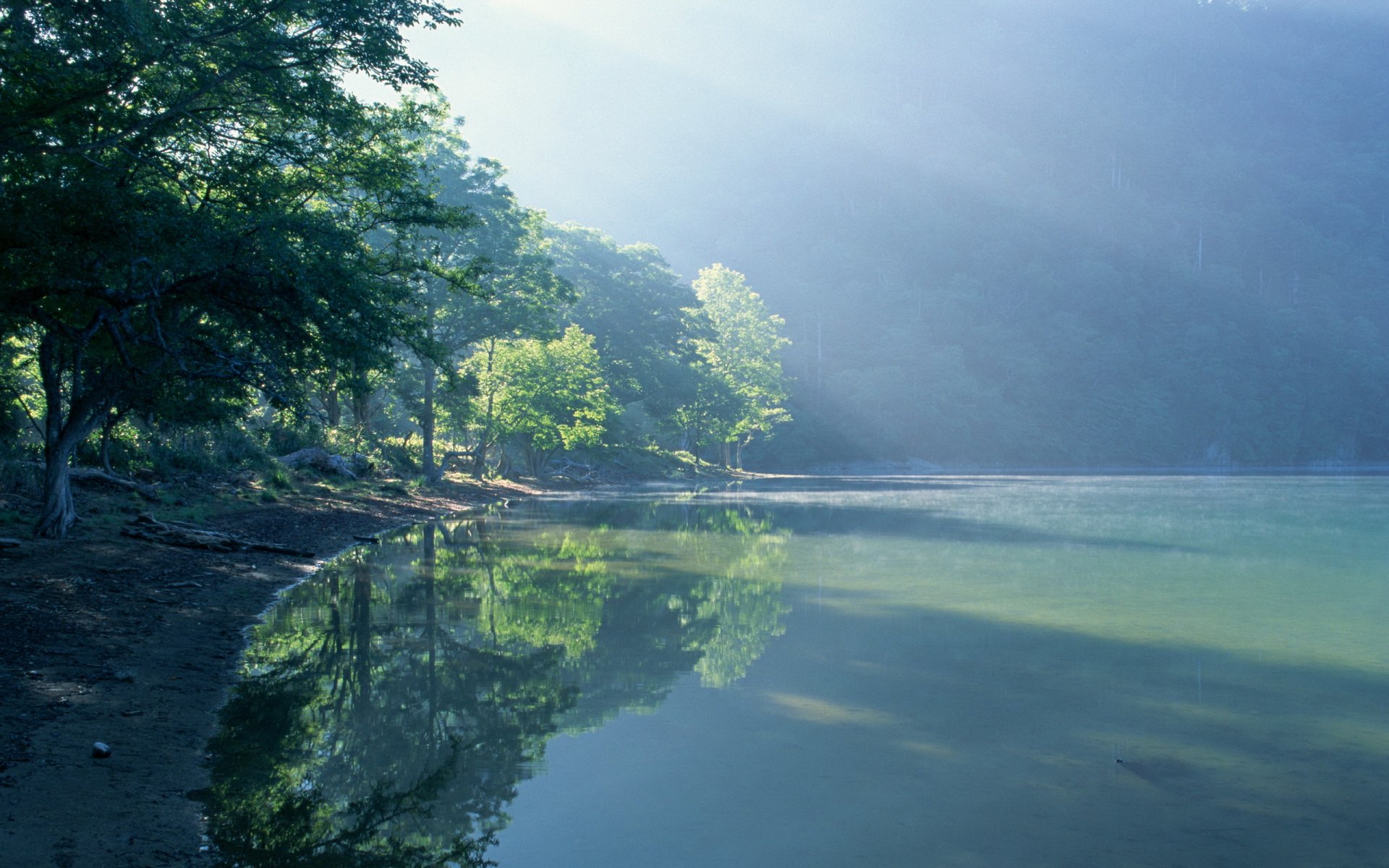 paysage nature brouillard lac eau côte lumière soleil arbres 2560x1600