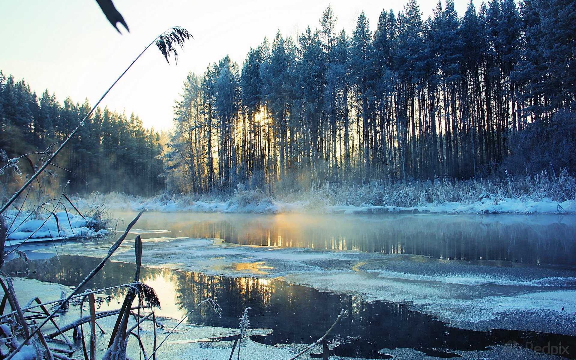 winter river landscape snow tree