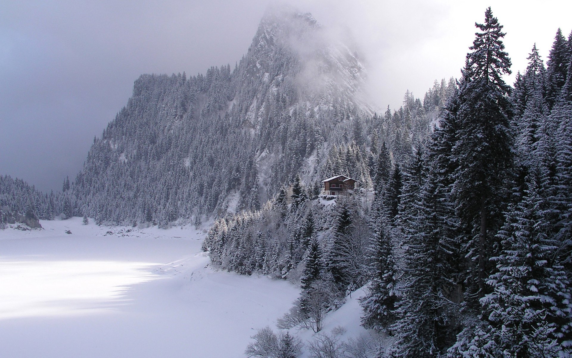 invierno bosque montañas cabaña