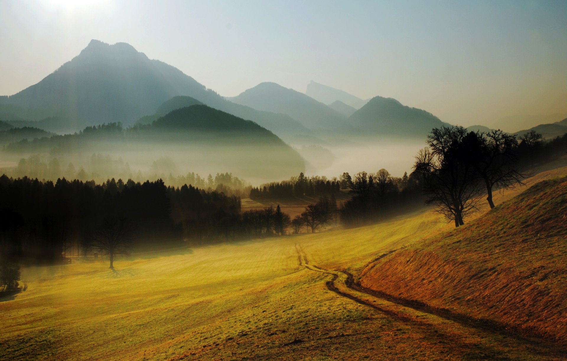 colline montagne radura alberi foresta strada sentiero nebbia foschia orizzonte natura paesaggio