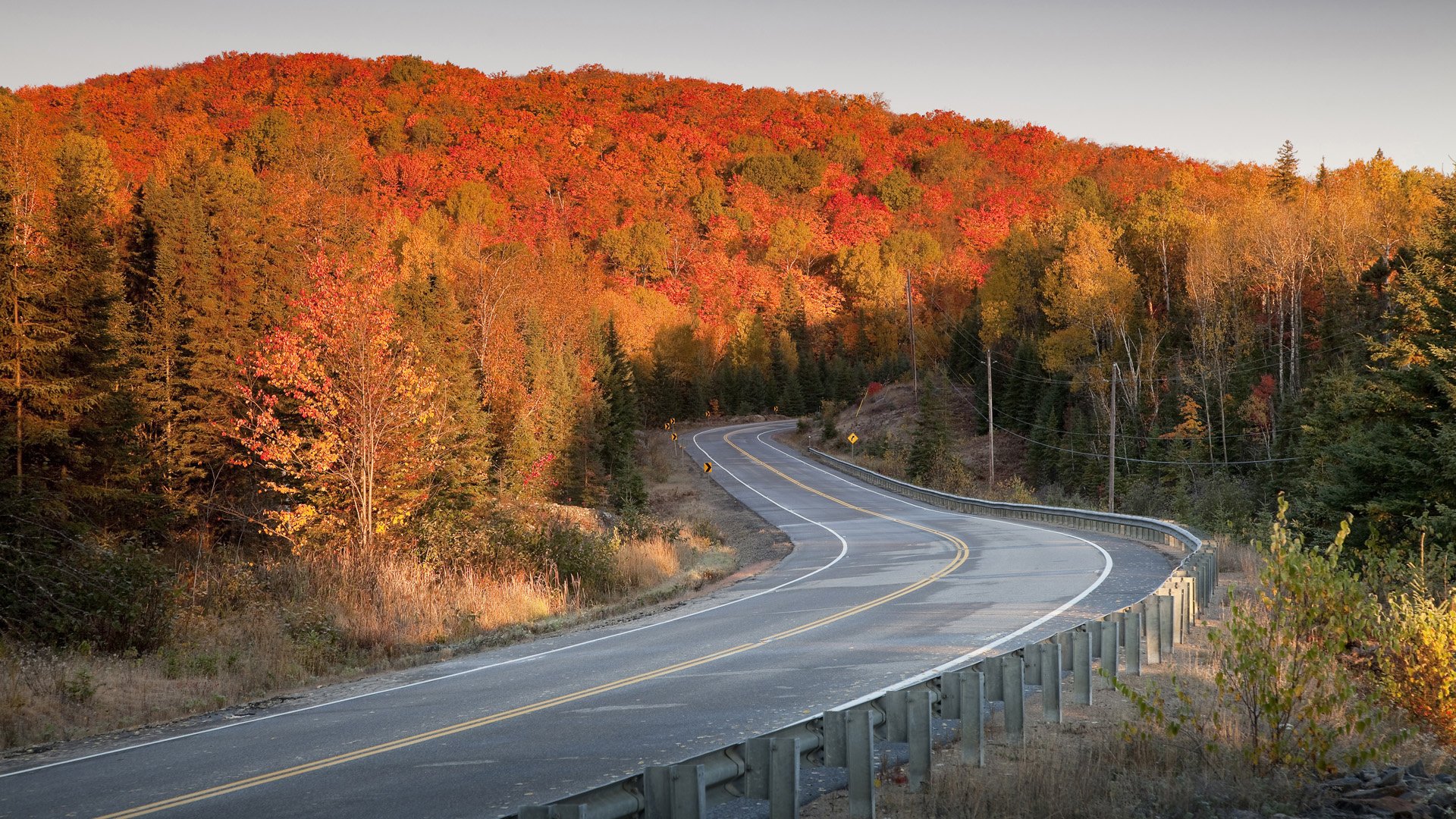 route automne arbres feuilles