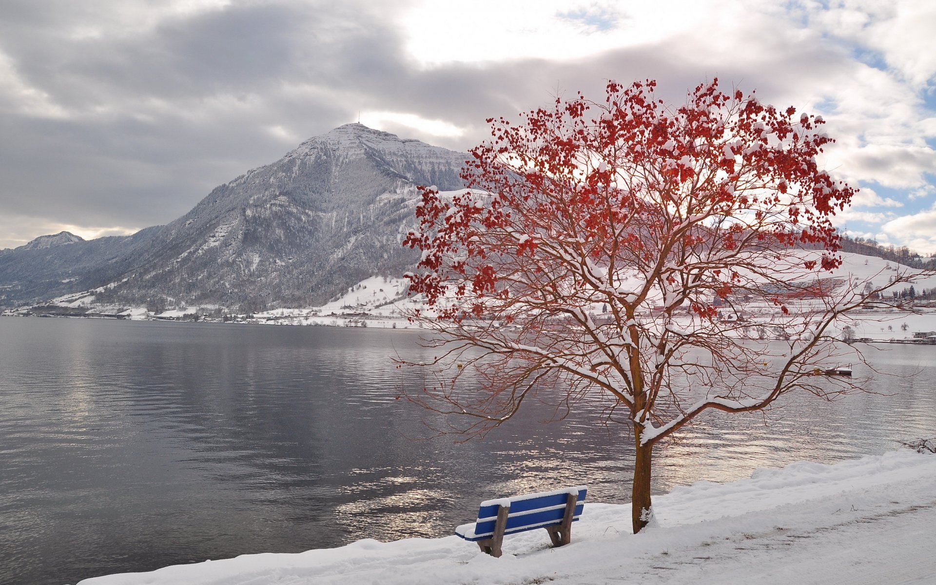 hiver rivière montagnes arbre banc