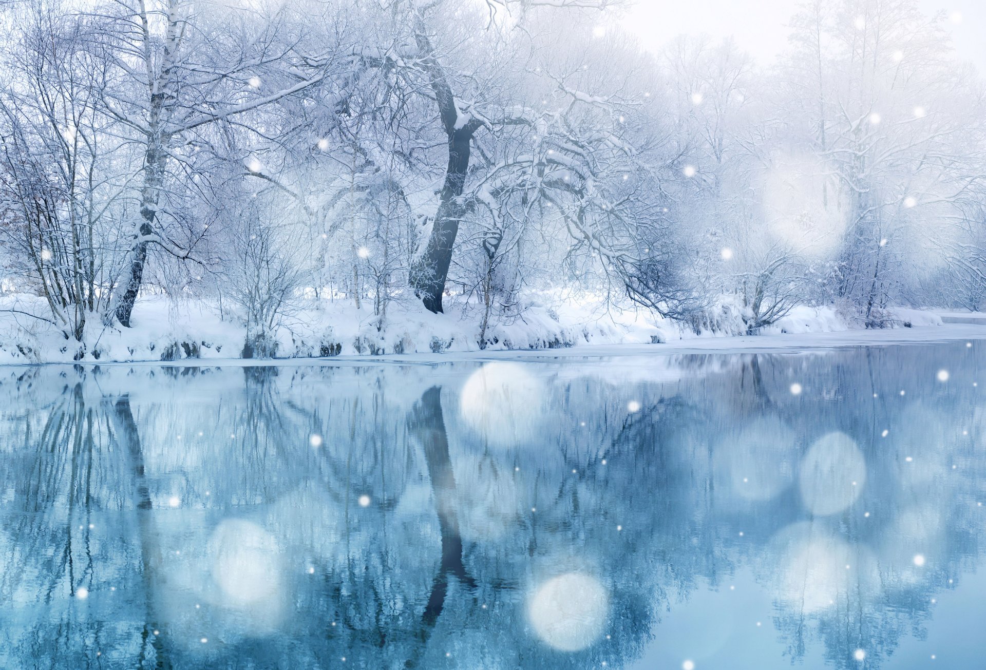 winter beauty blue covering frozen holiday ice nature scenics season snow wonderland winter snow tree landscape tale