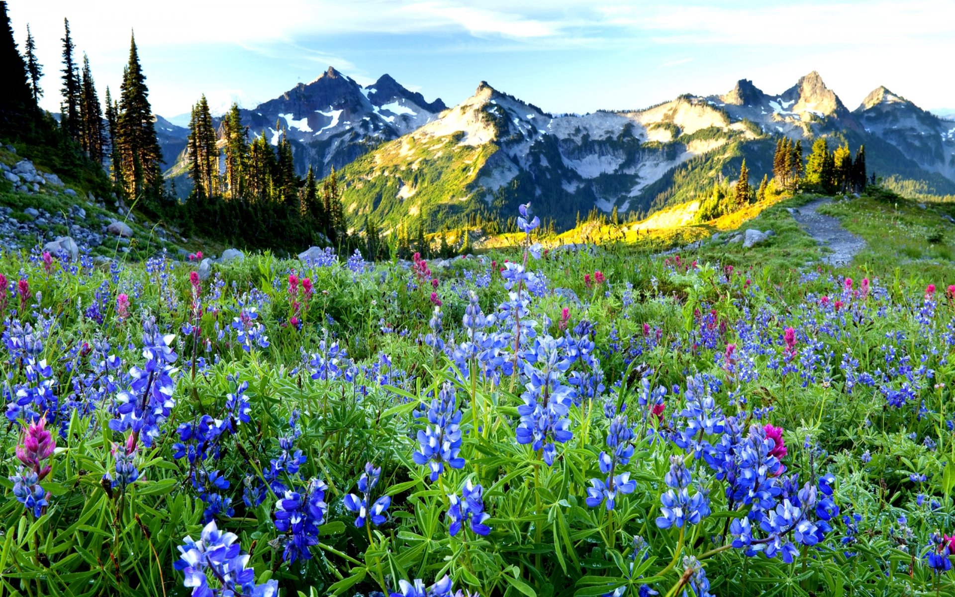 montañas naturaleza paisaje flores hierba árboles primavera cielo