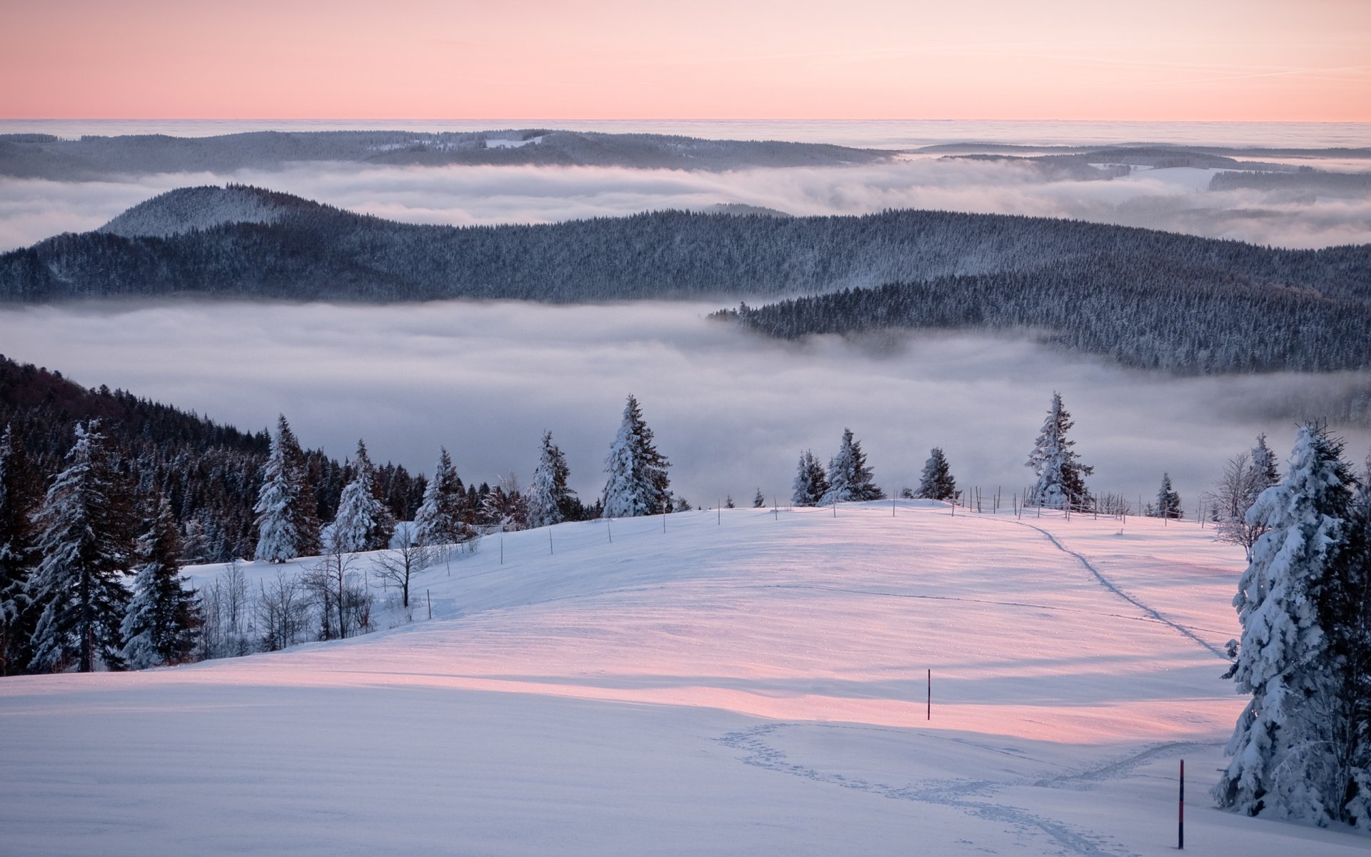 winterlandschaften winternatur schnee berg berge wälder baum bäume abfahrten pisten nebel dunst stille ruhe schönheit schöne orte foto im winter foto im winter morgen